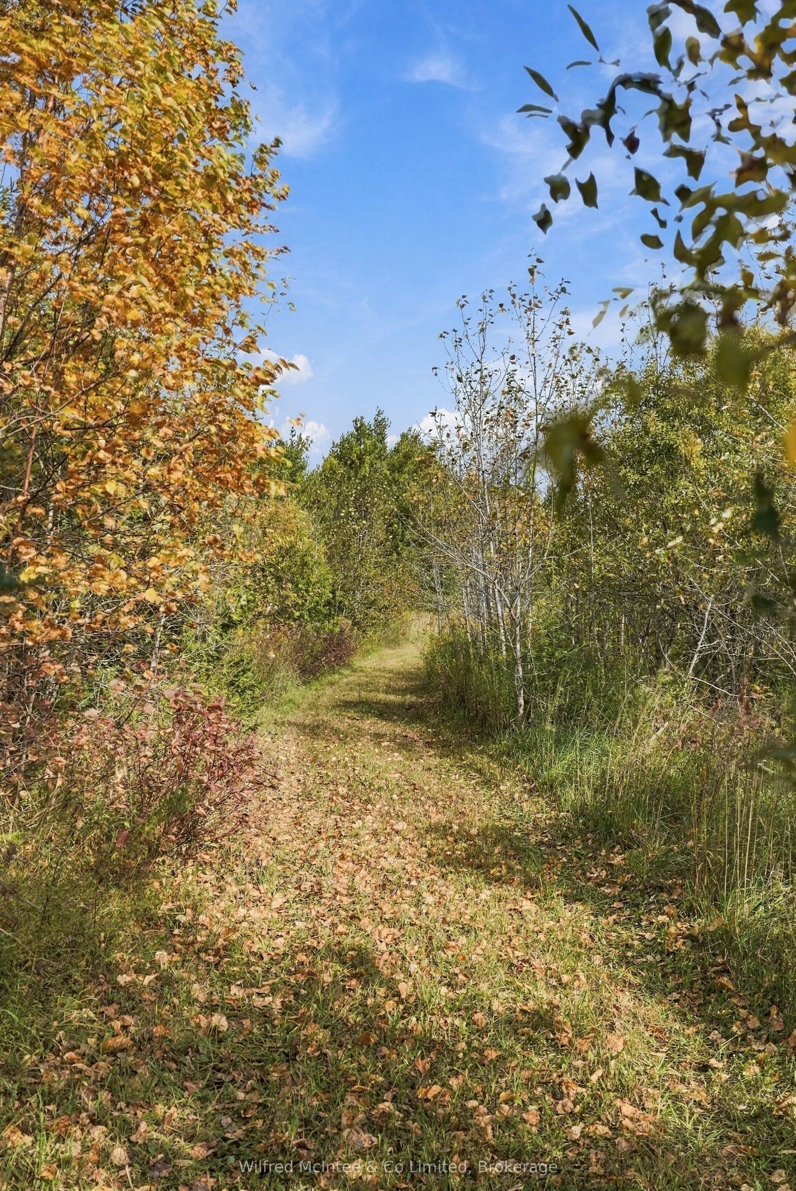 764059 240 Side Road