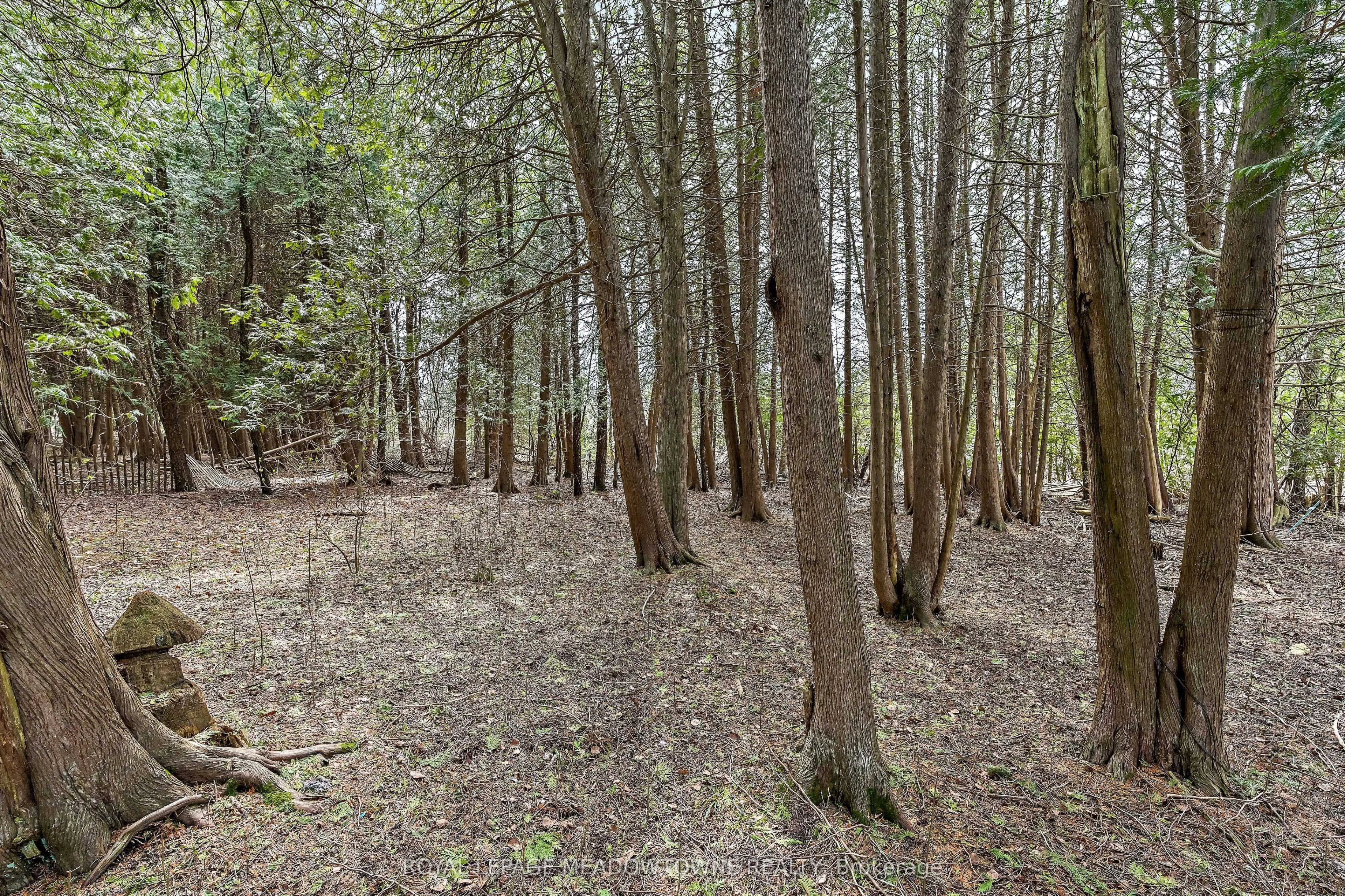 4 Laurel Lane