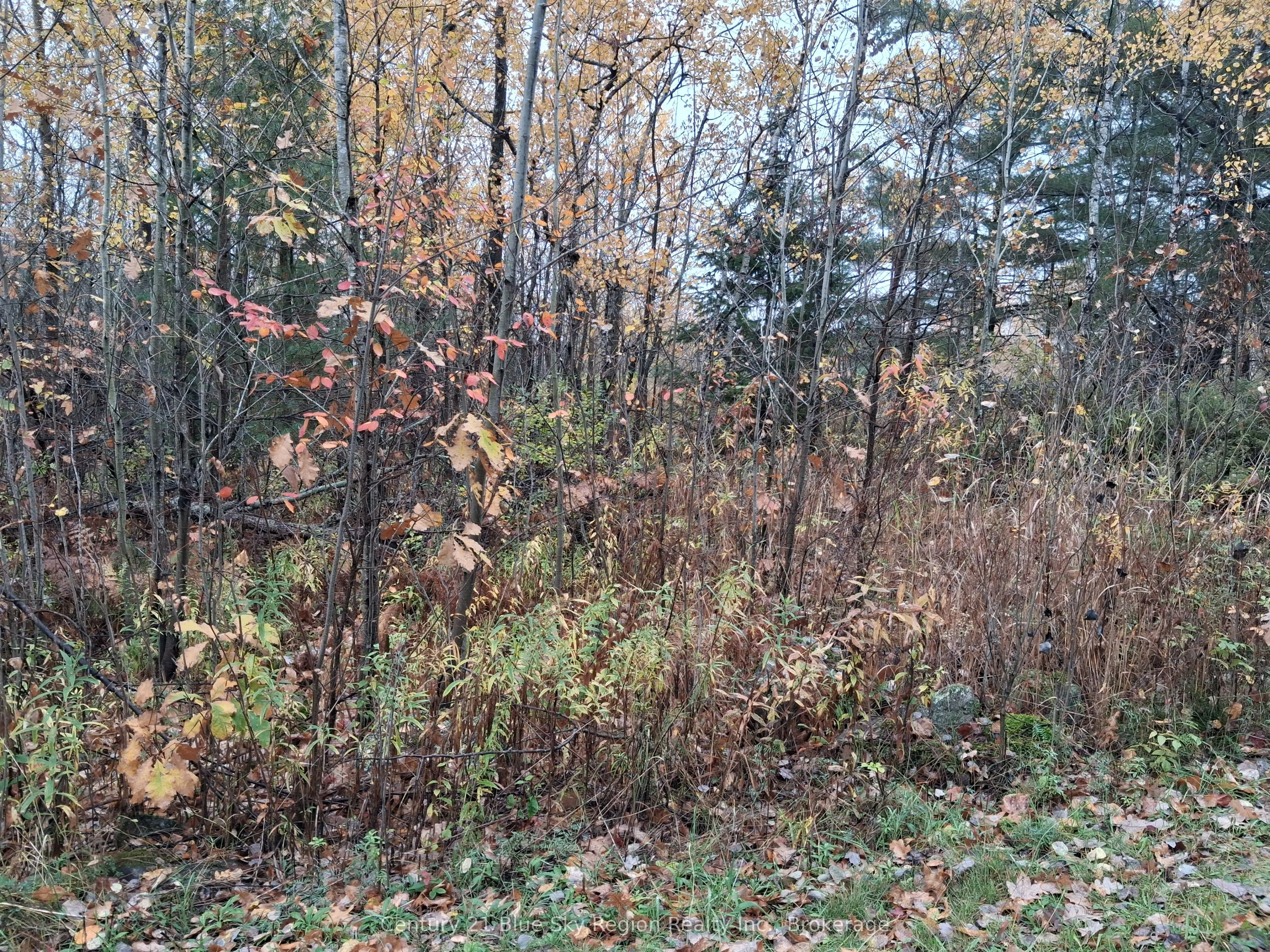 0 Bear Creek Road