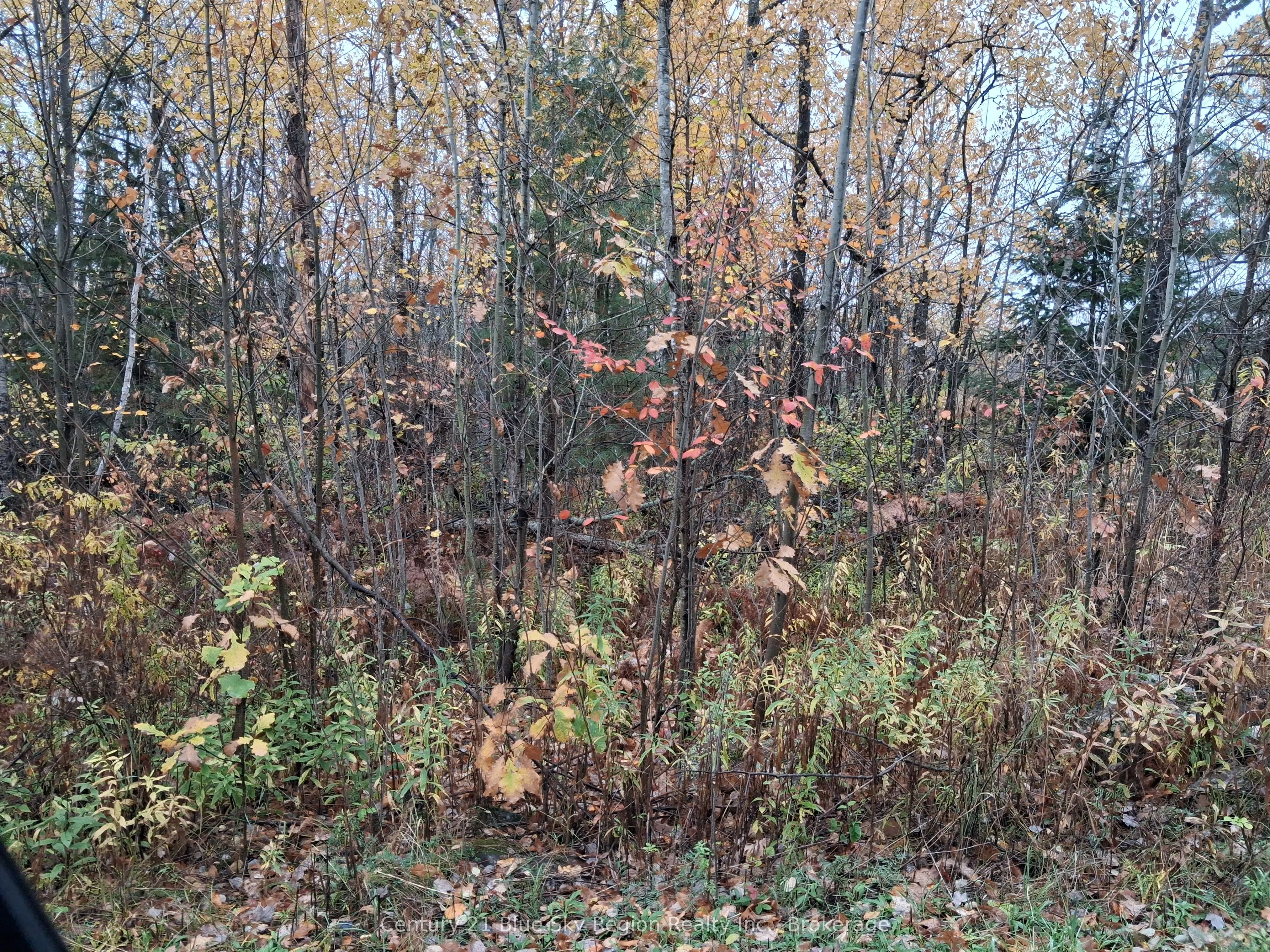 0 Bear Creek Road
