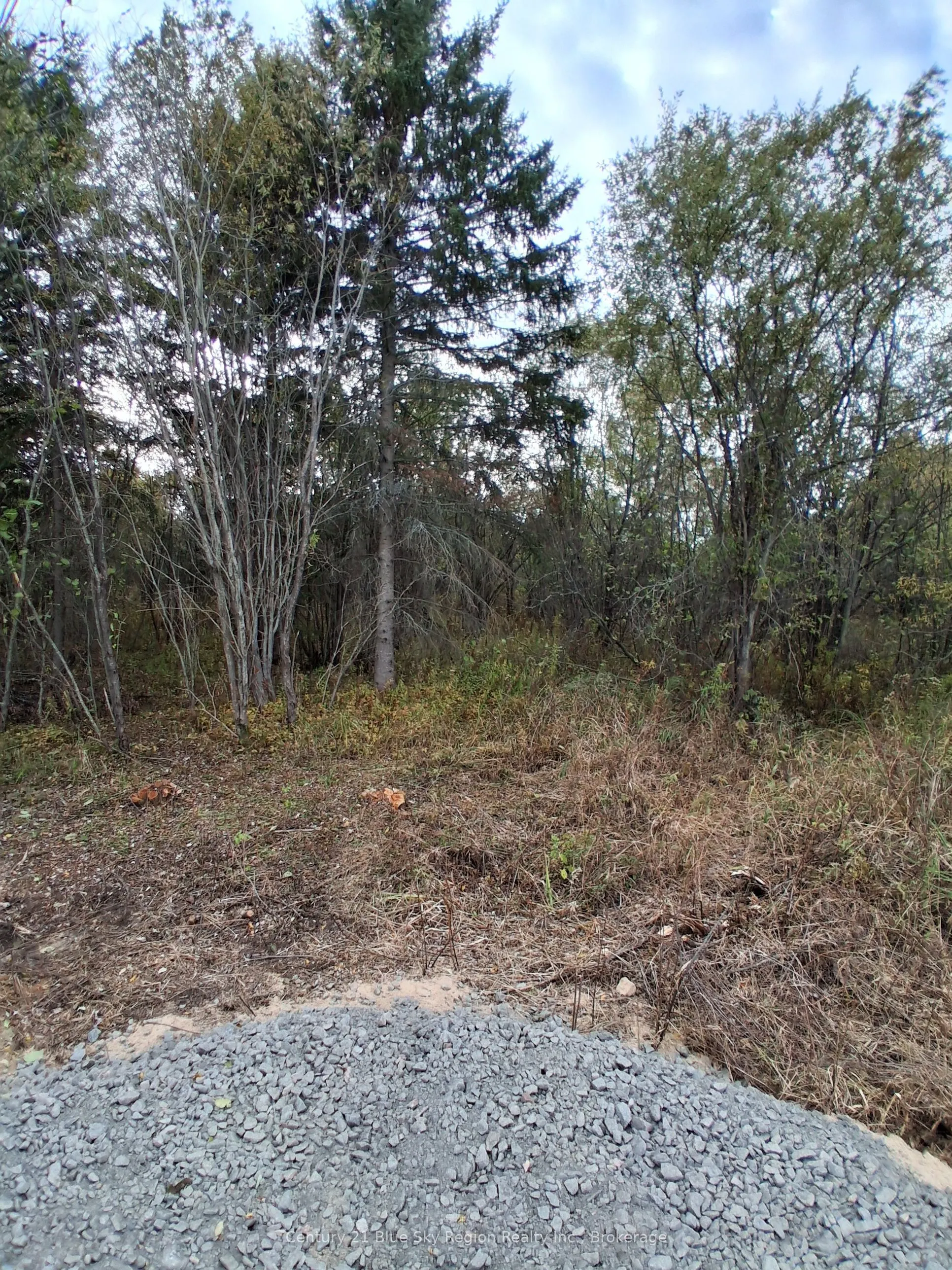 0 Tillicum Road