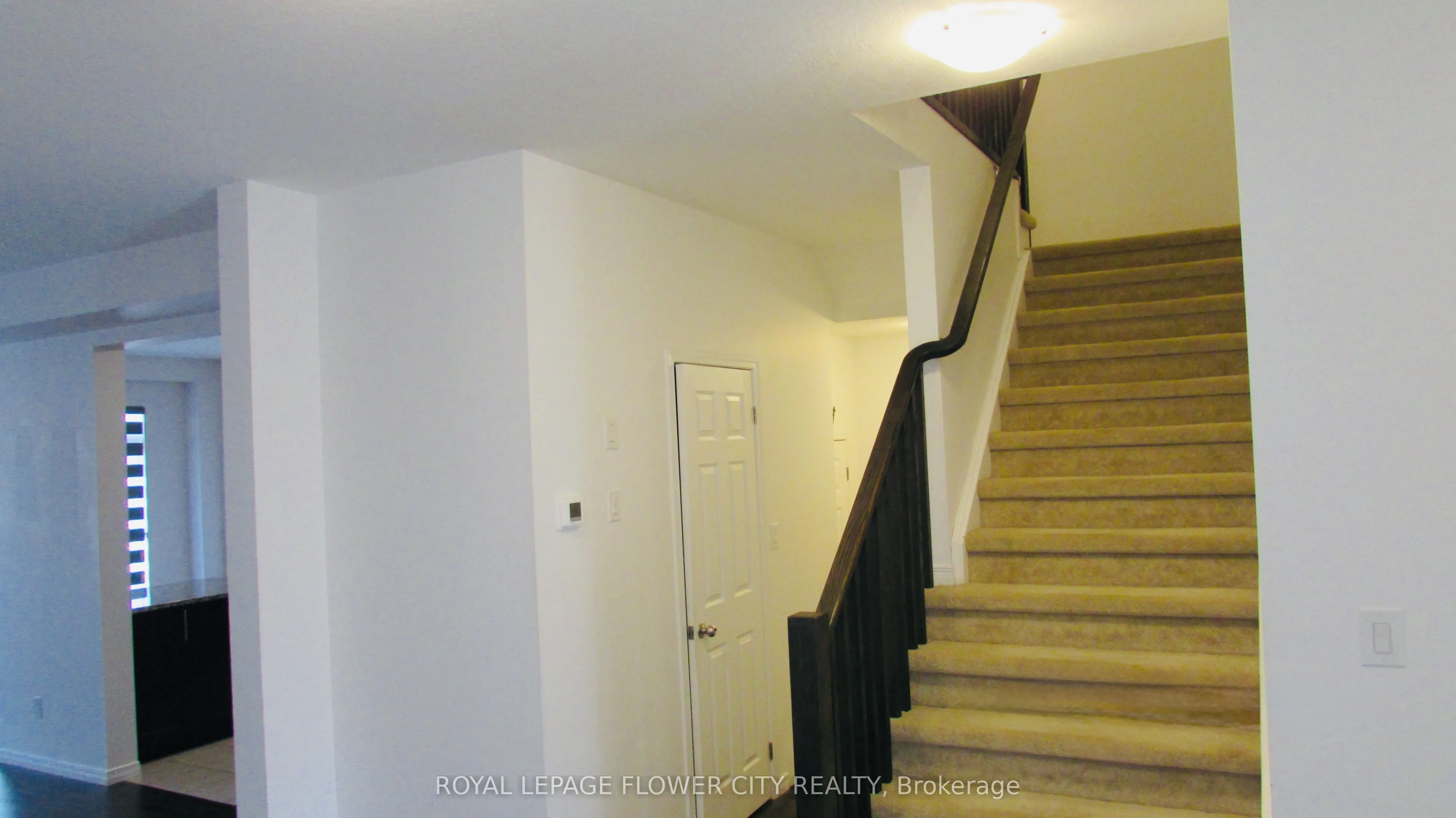 281 Freure Drive