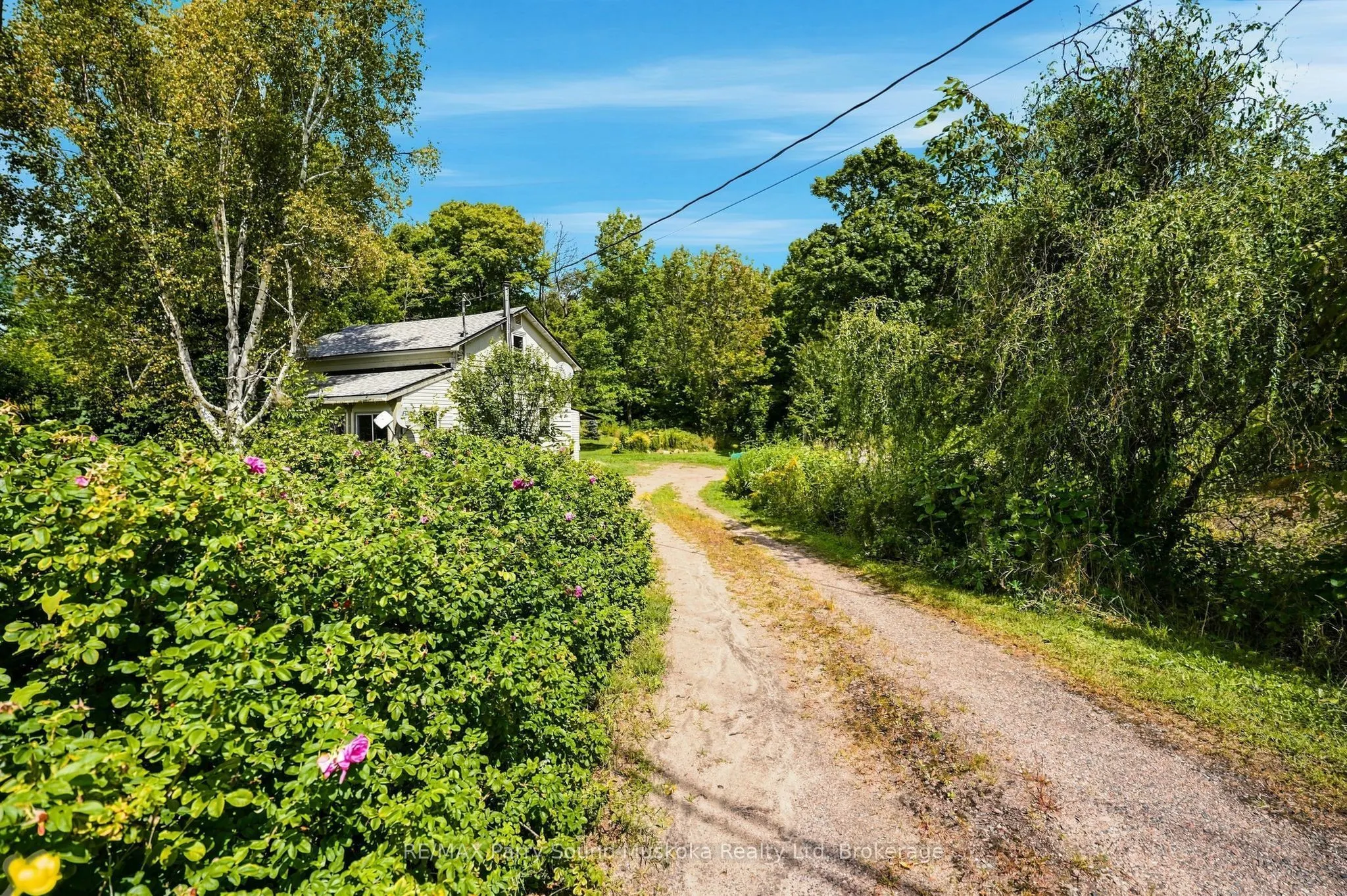 1115 Highway 124