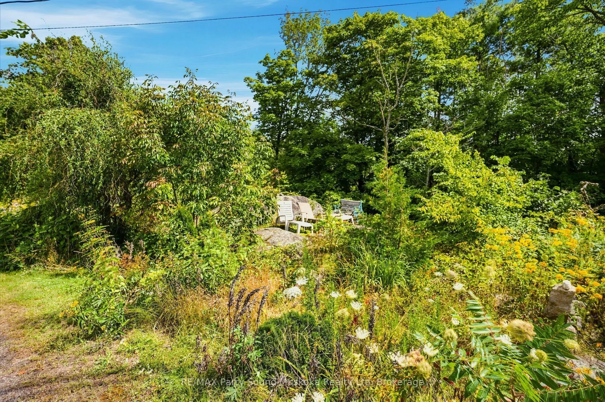 1115 Highway 124