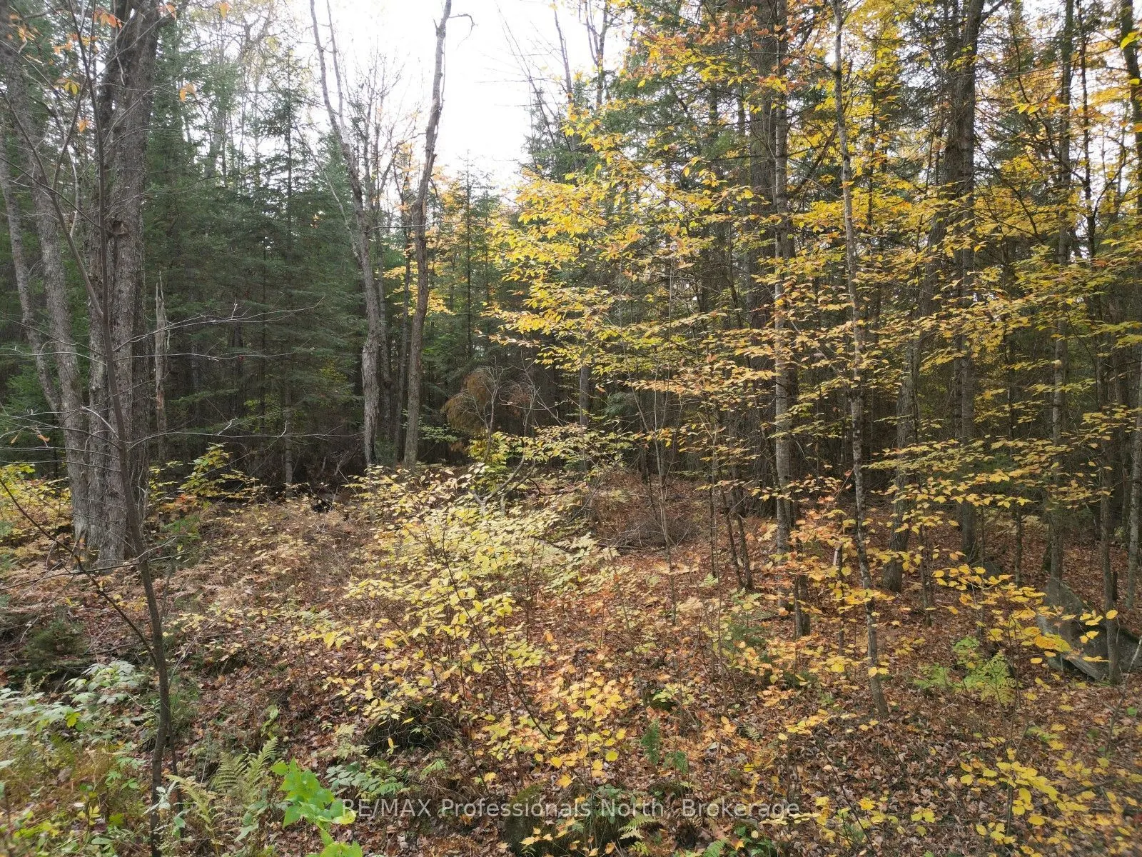 TBD Rugged Lane