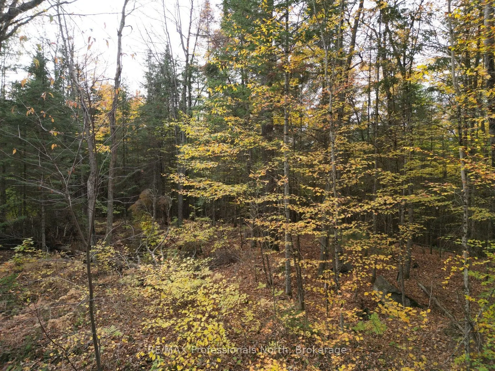 TBD Rugged Lane