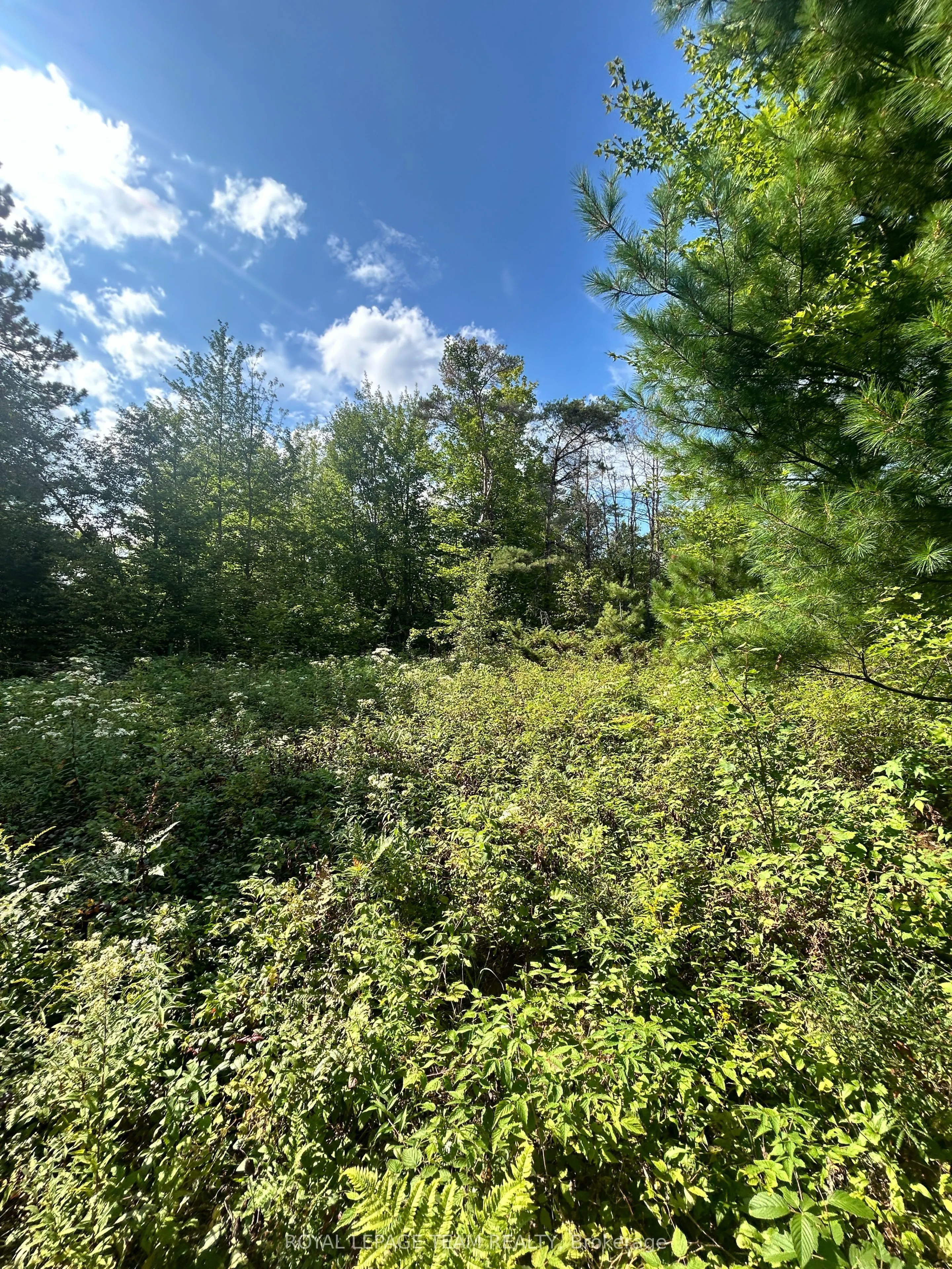 Lot 7&8 Pond Road