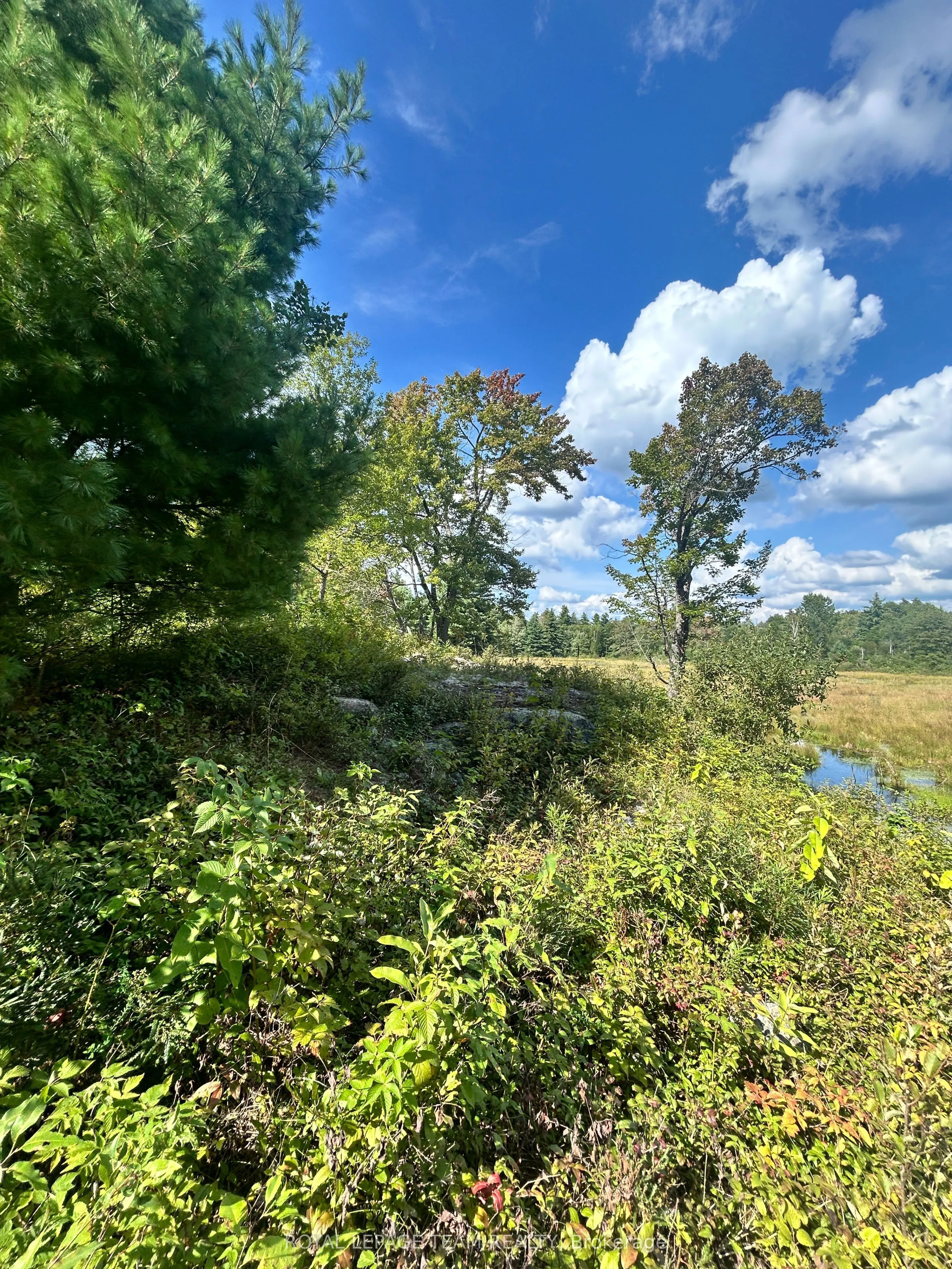 Lot 7&8 Pond Road
