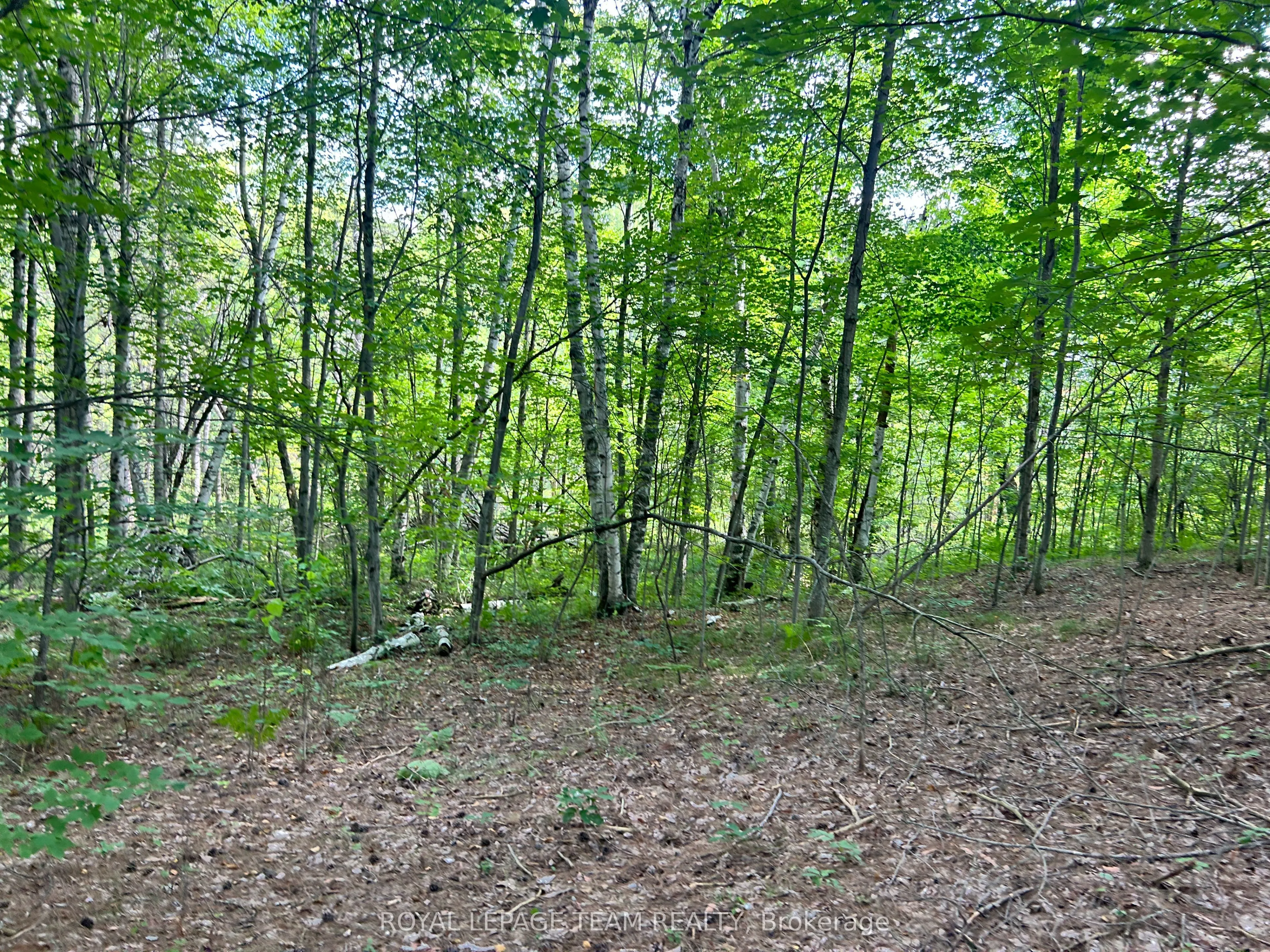 Lot 7&8 Pond Road