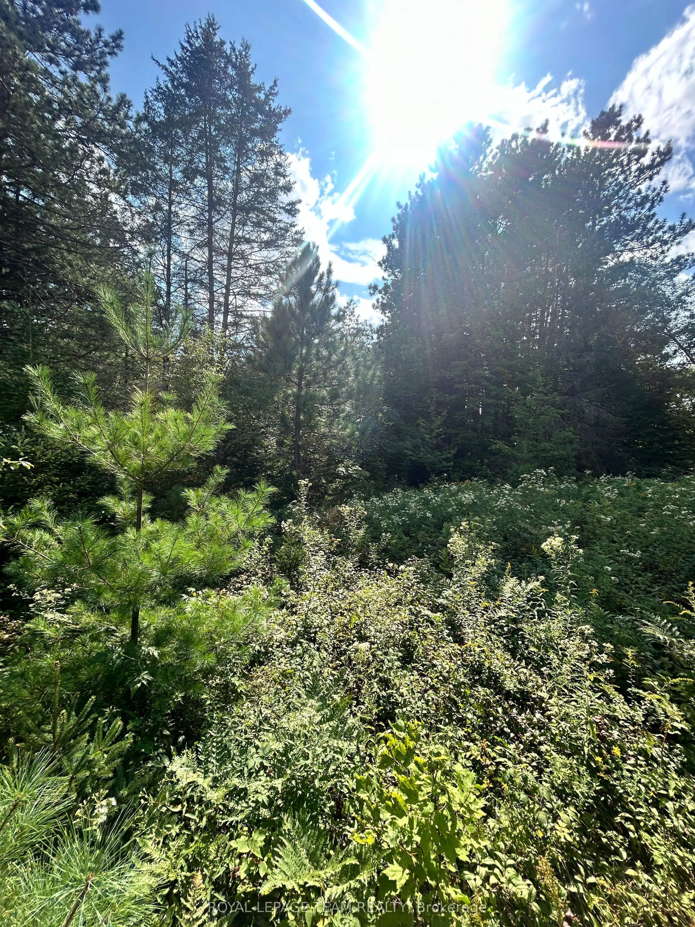 Lot 7&8 Pond Road