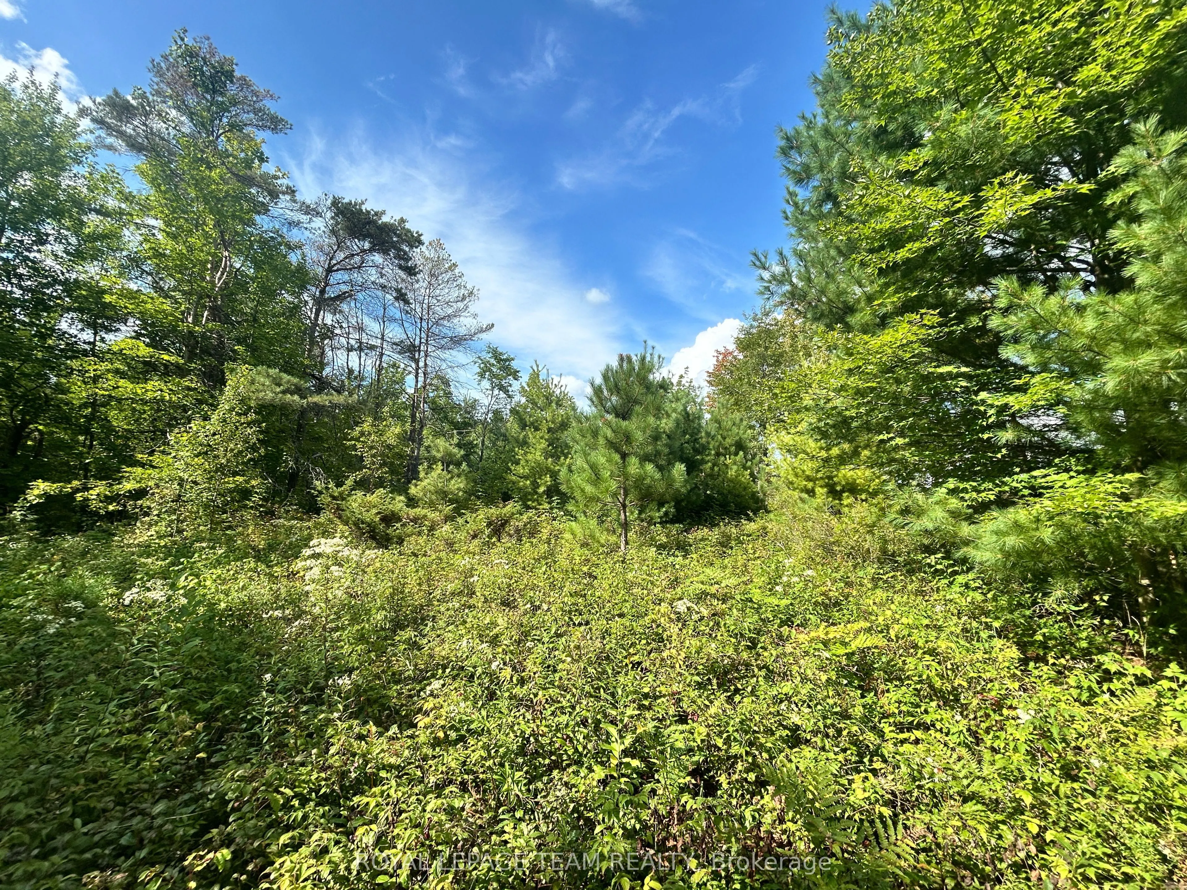 Lot 7&8 Pond Road