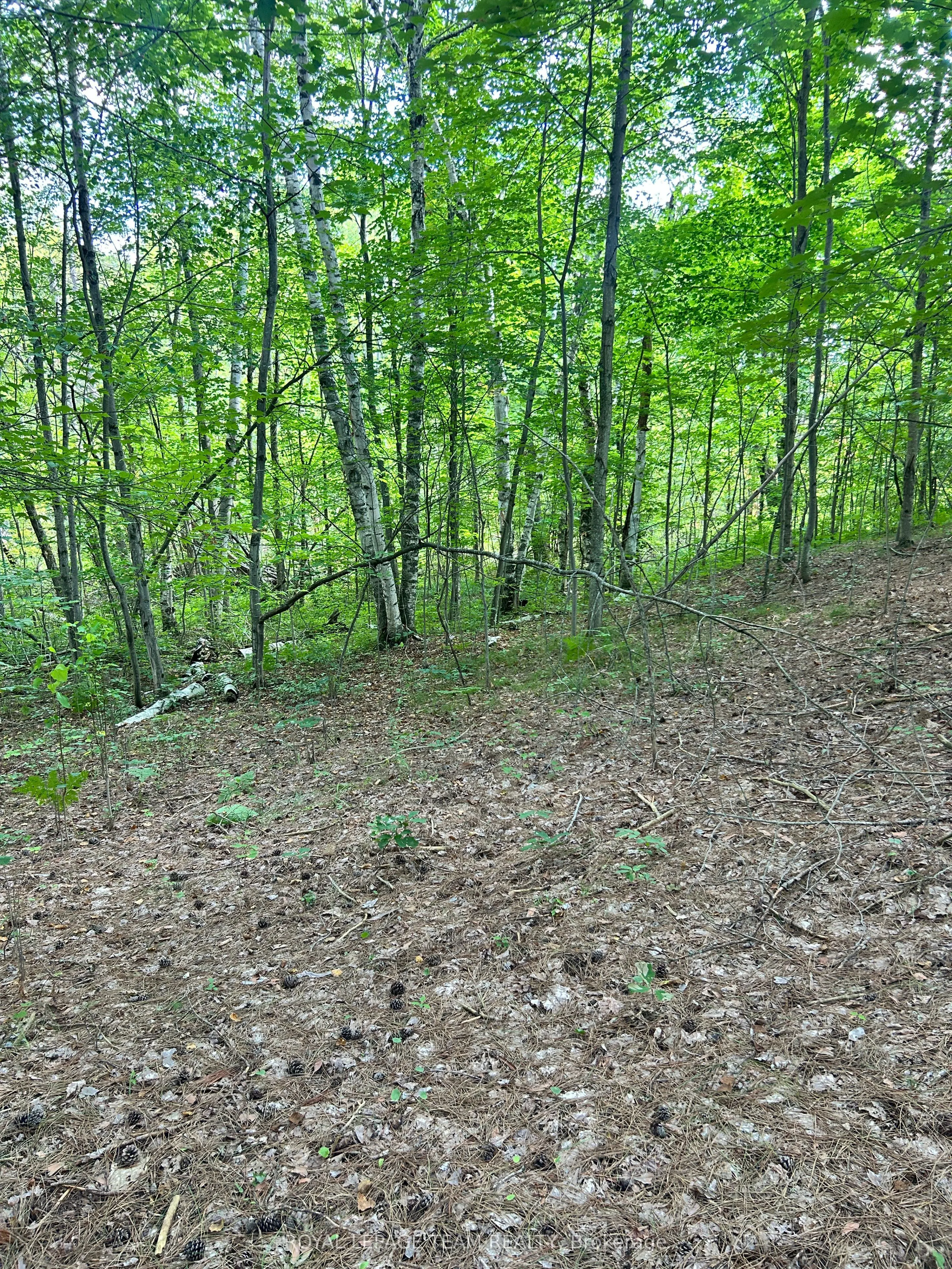 Lot 7&8 Pond Road