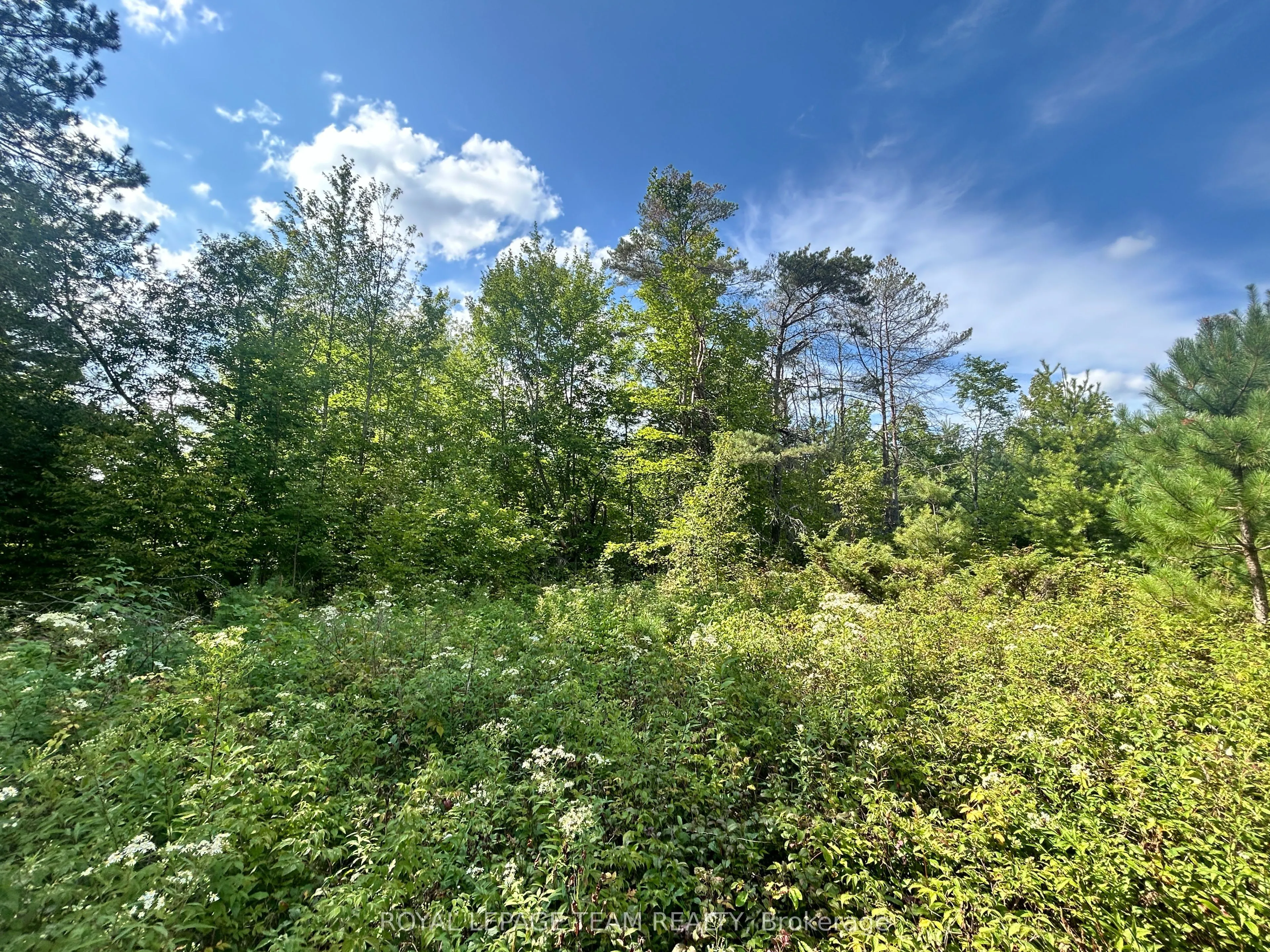 Lot 7&8 Pond Road