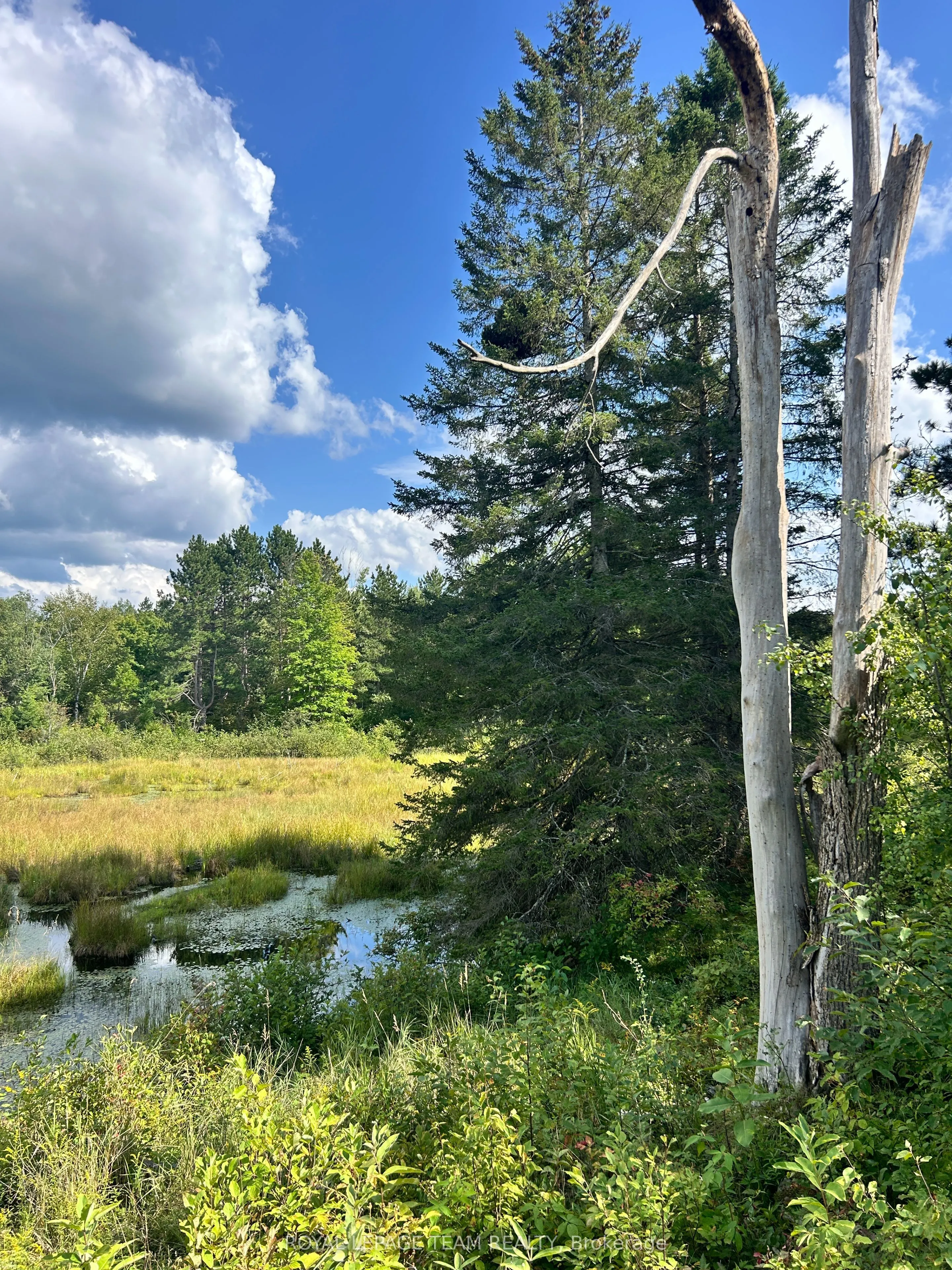 Lot 7&8 Pond Road