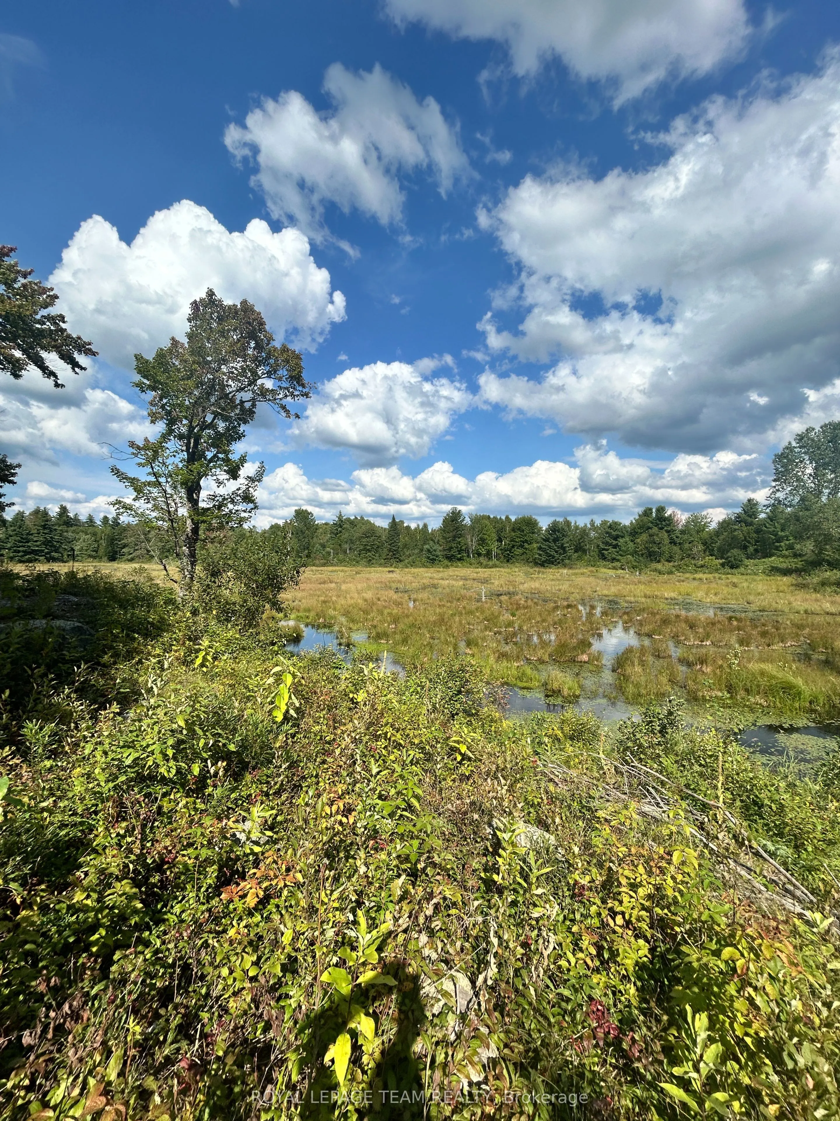 Lot 7&8 Pond Road