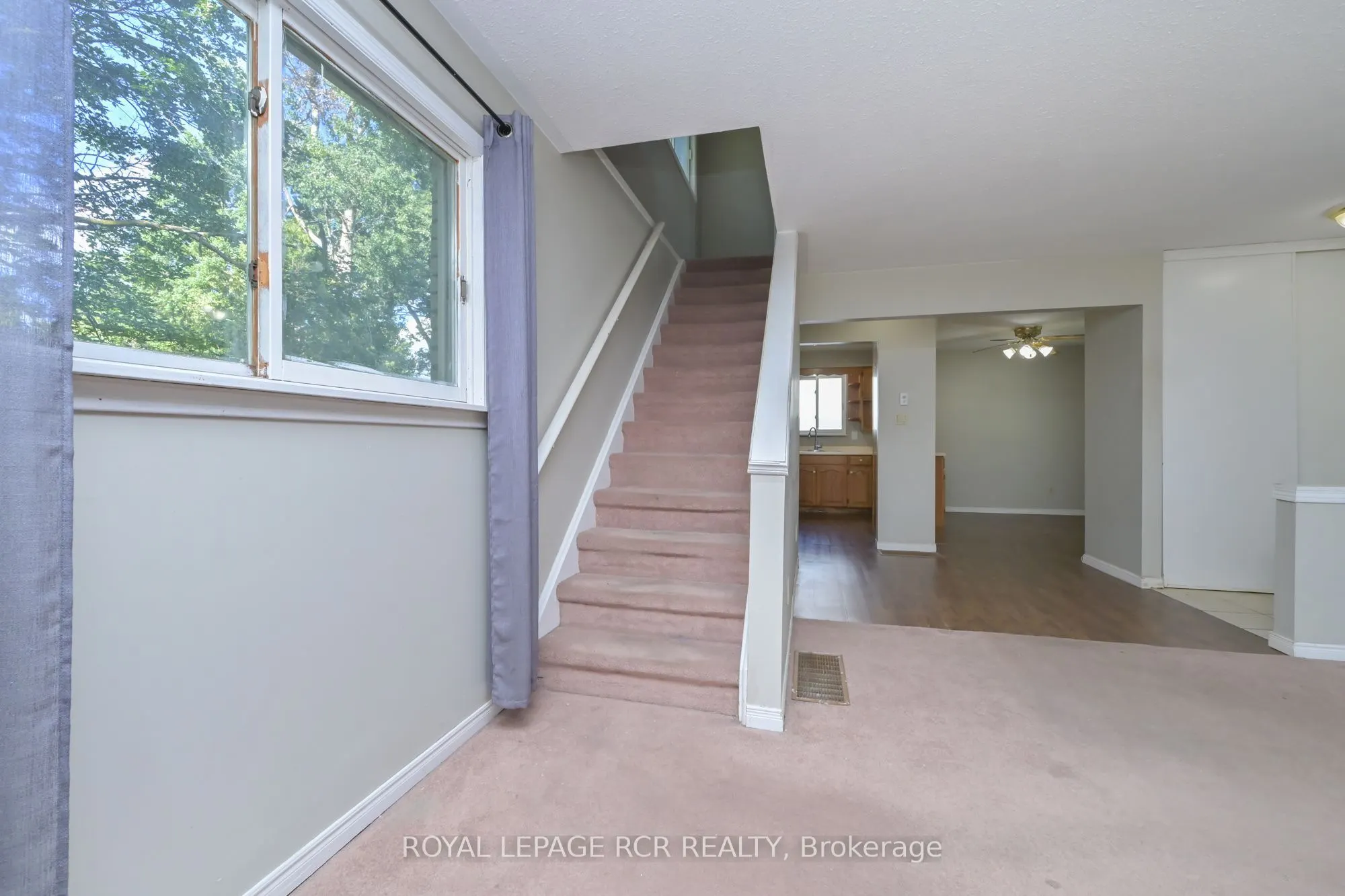 116 Ann Street