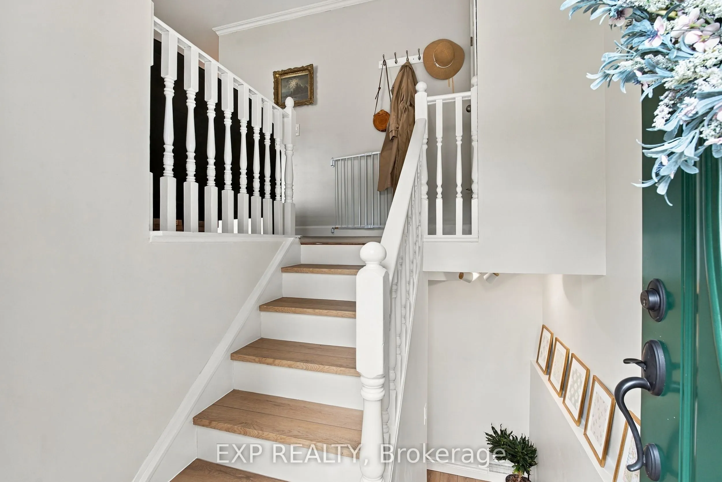 28 Maitland Street