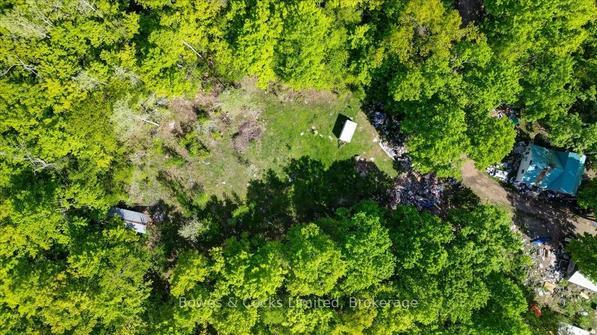 3463 County Road 44