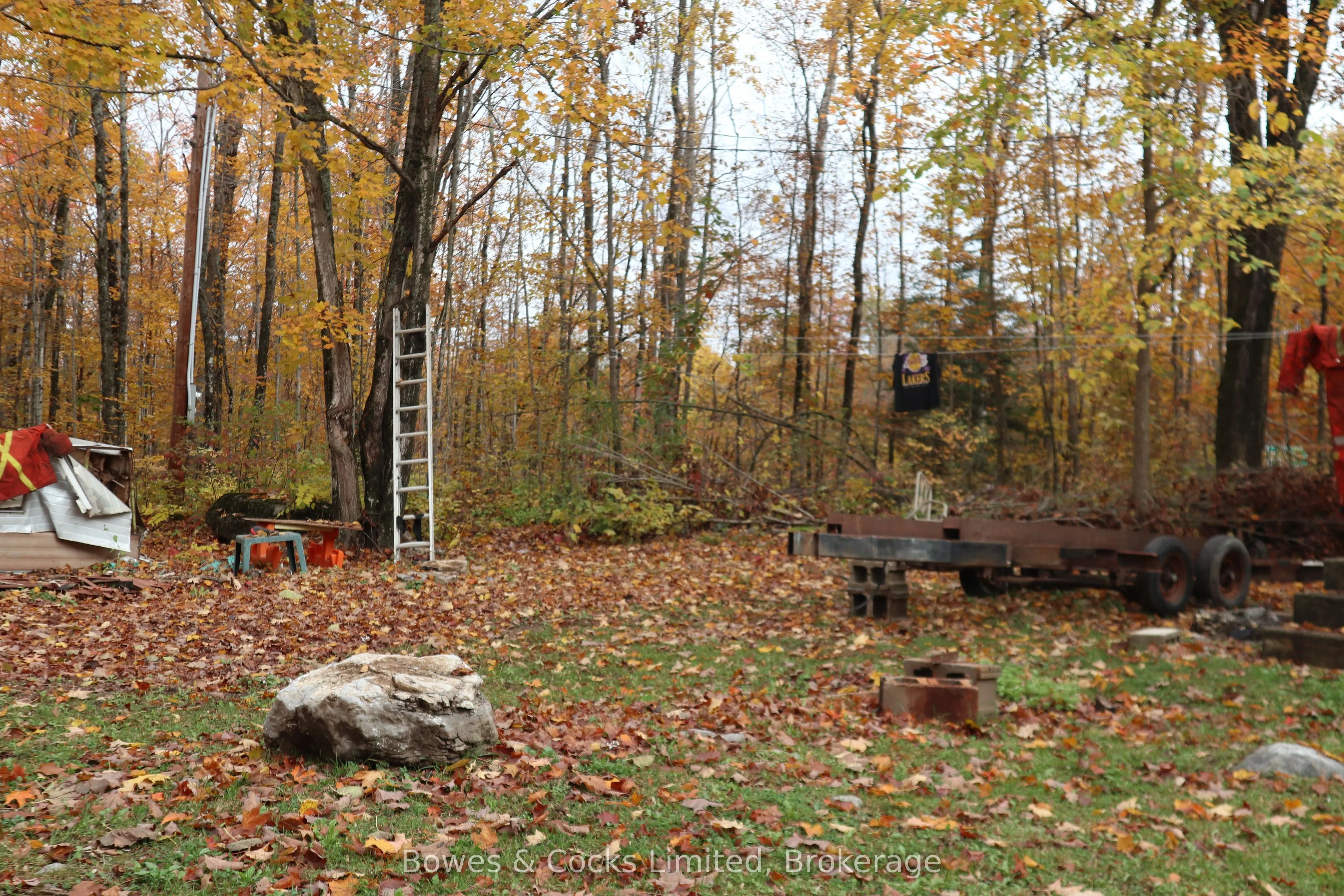 3463 County Road 44
