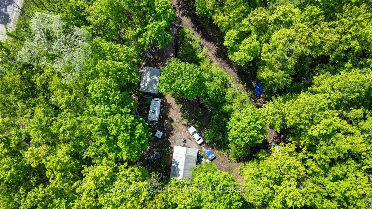 3463 County Road 44