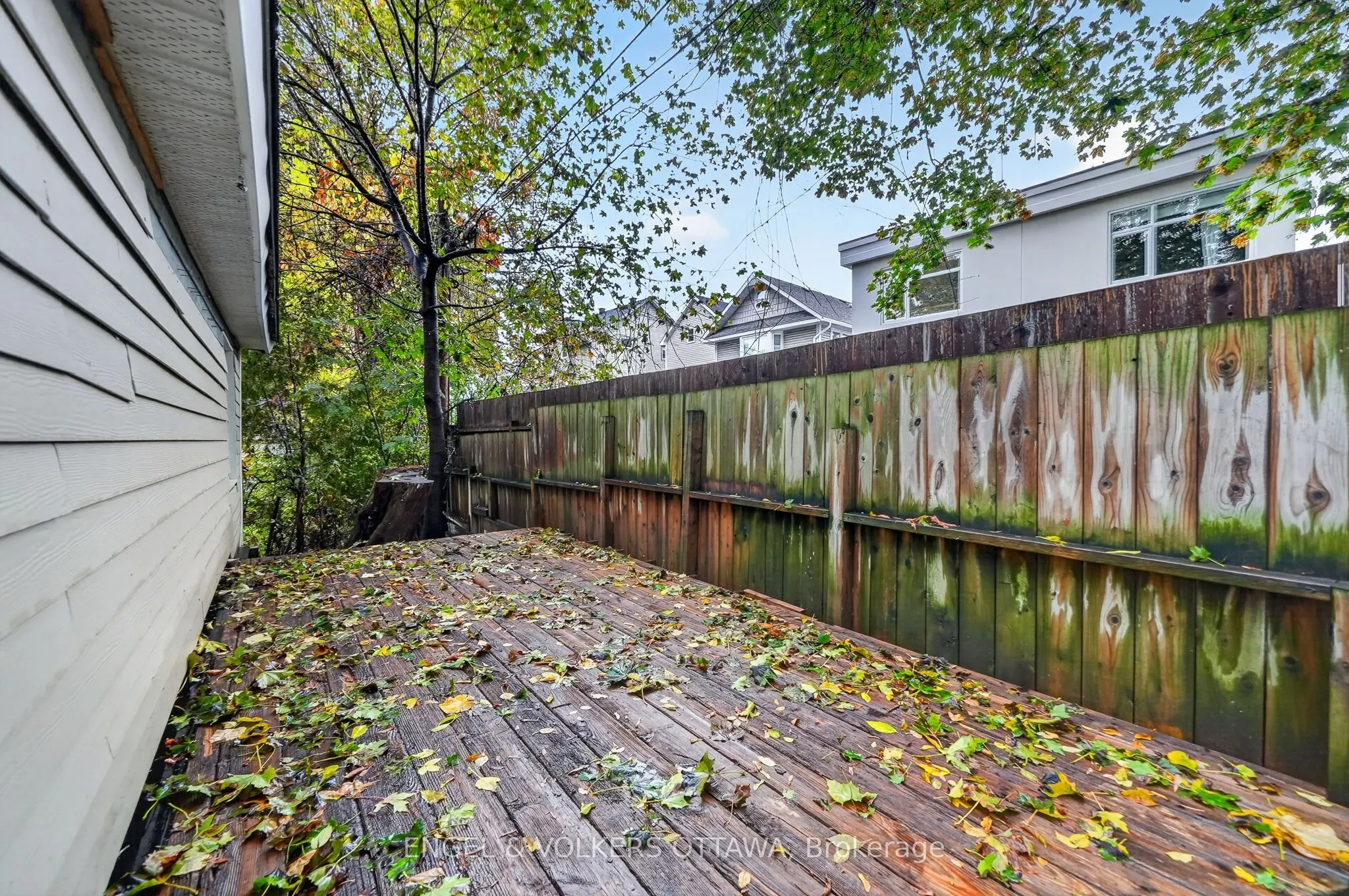 61 Muriel Street