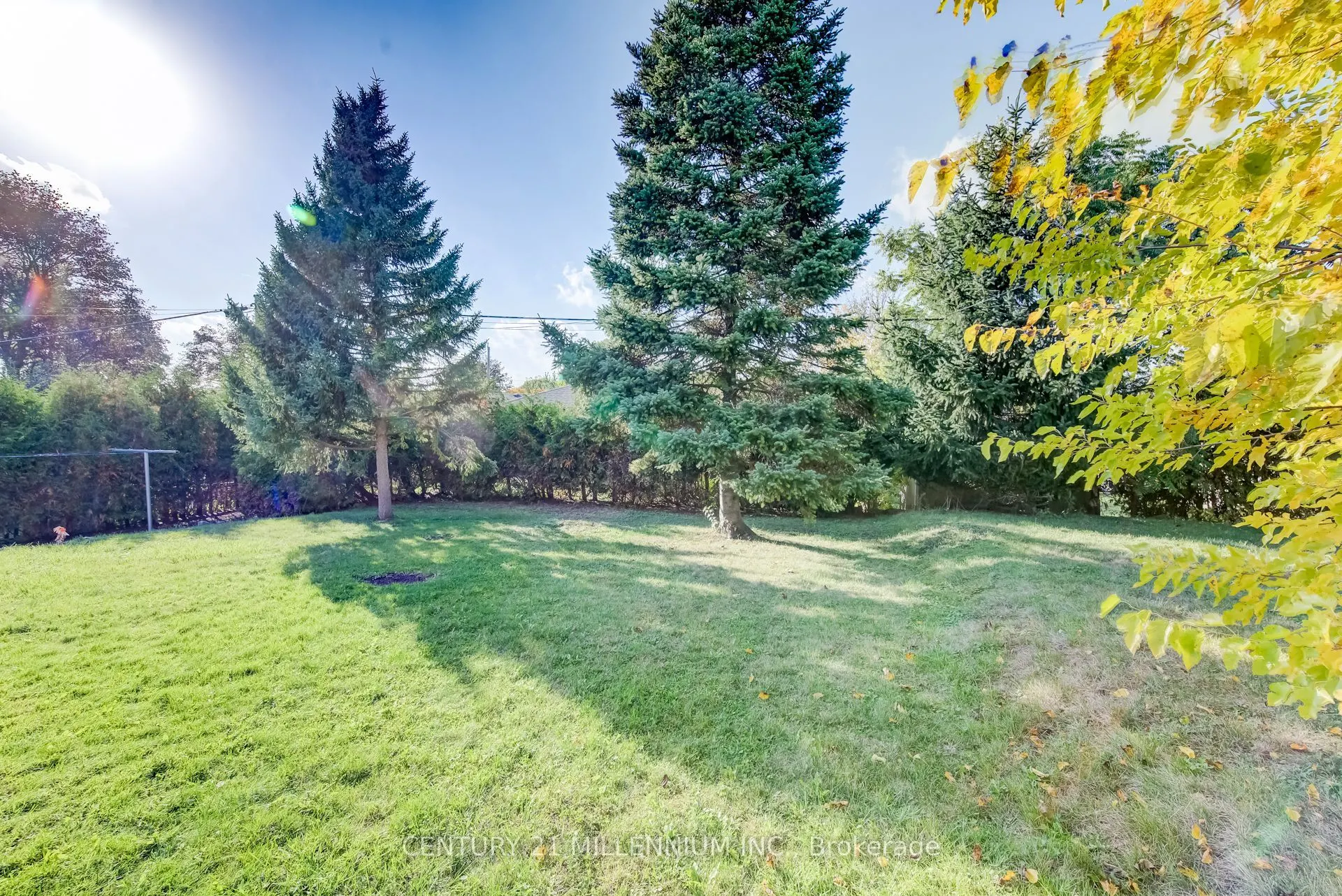 46 Traynor Avenue