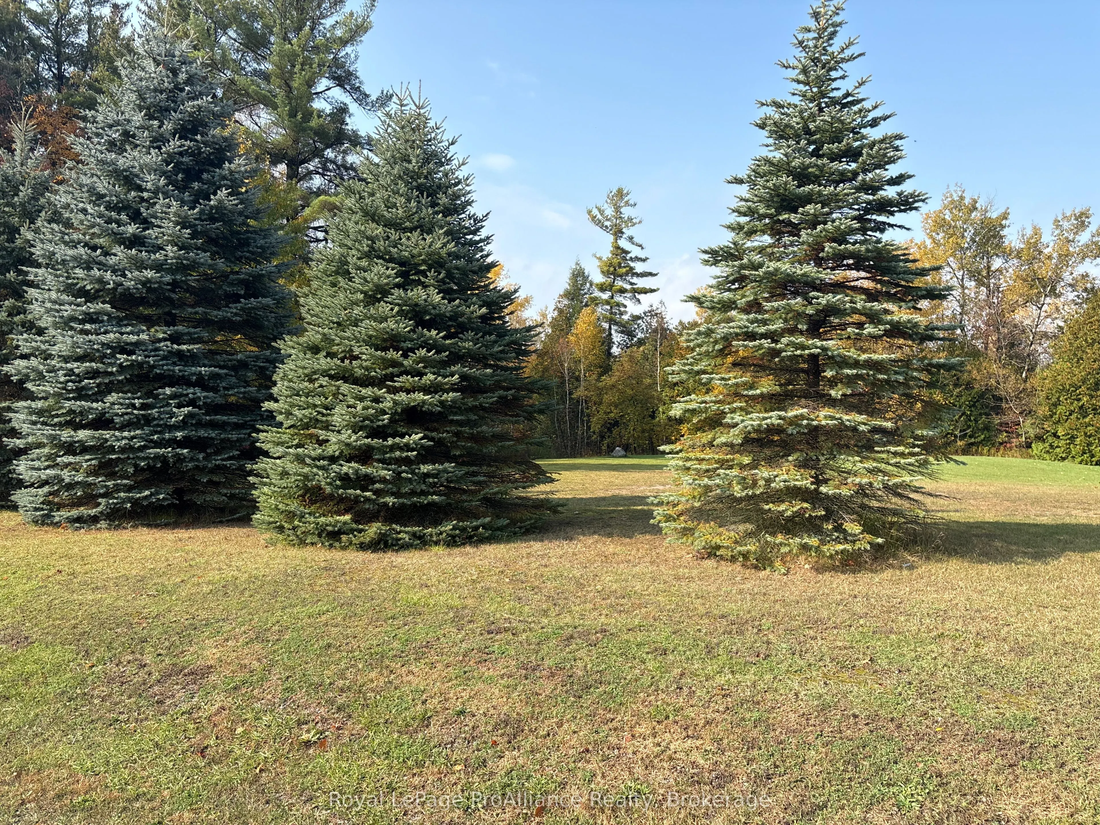 230 County Road 22
