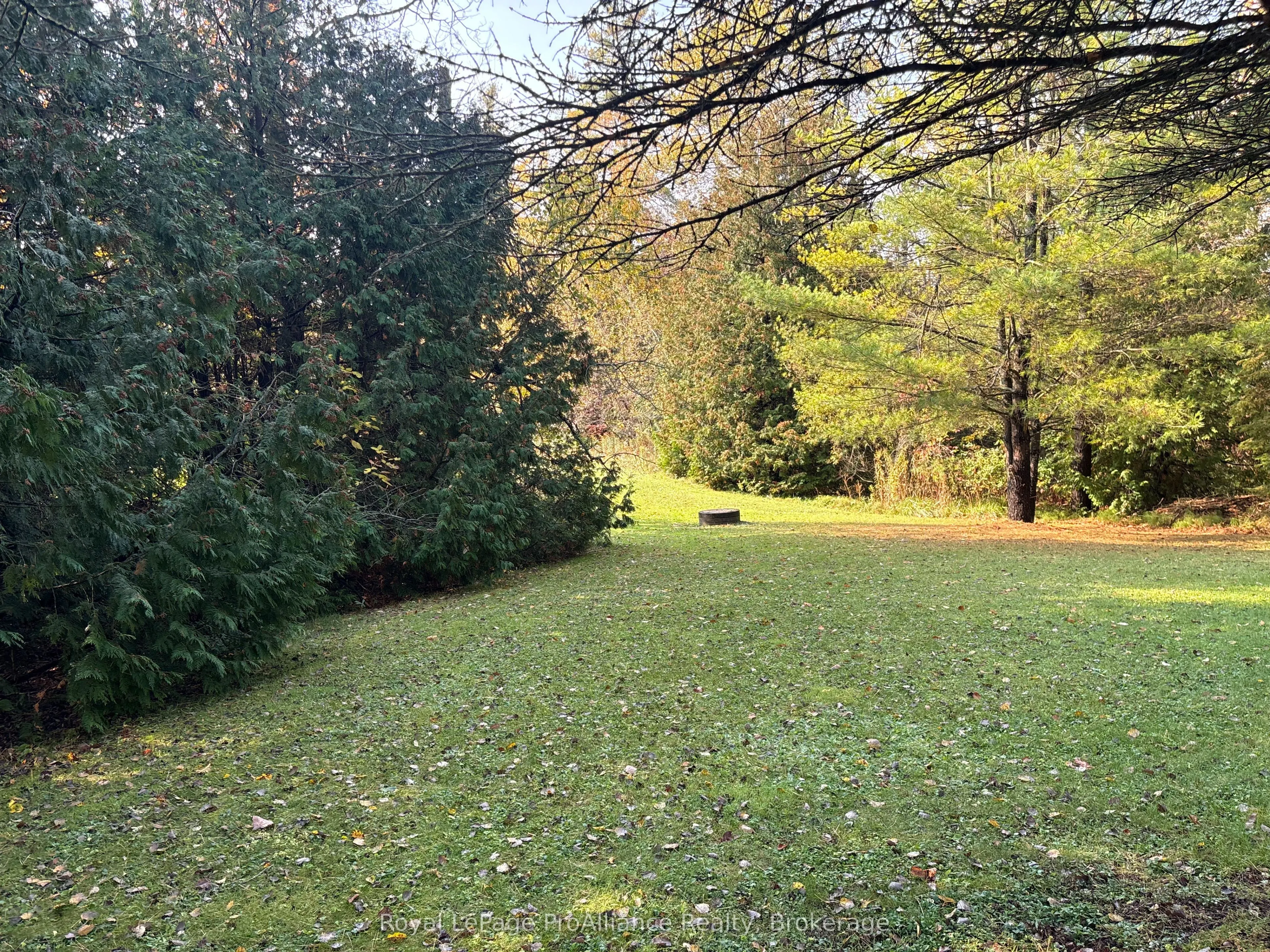230 County Road 22