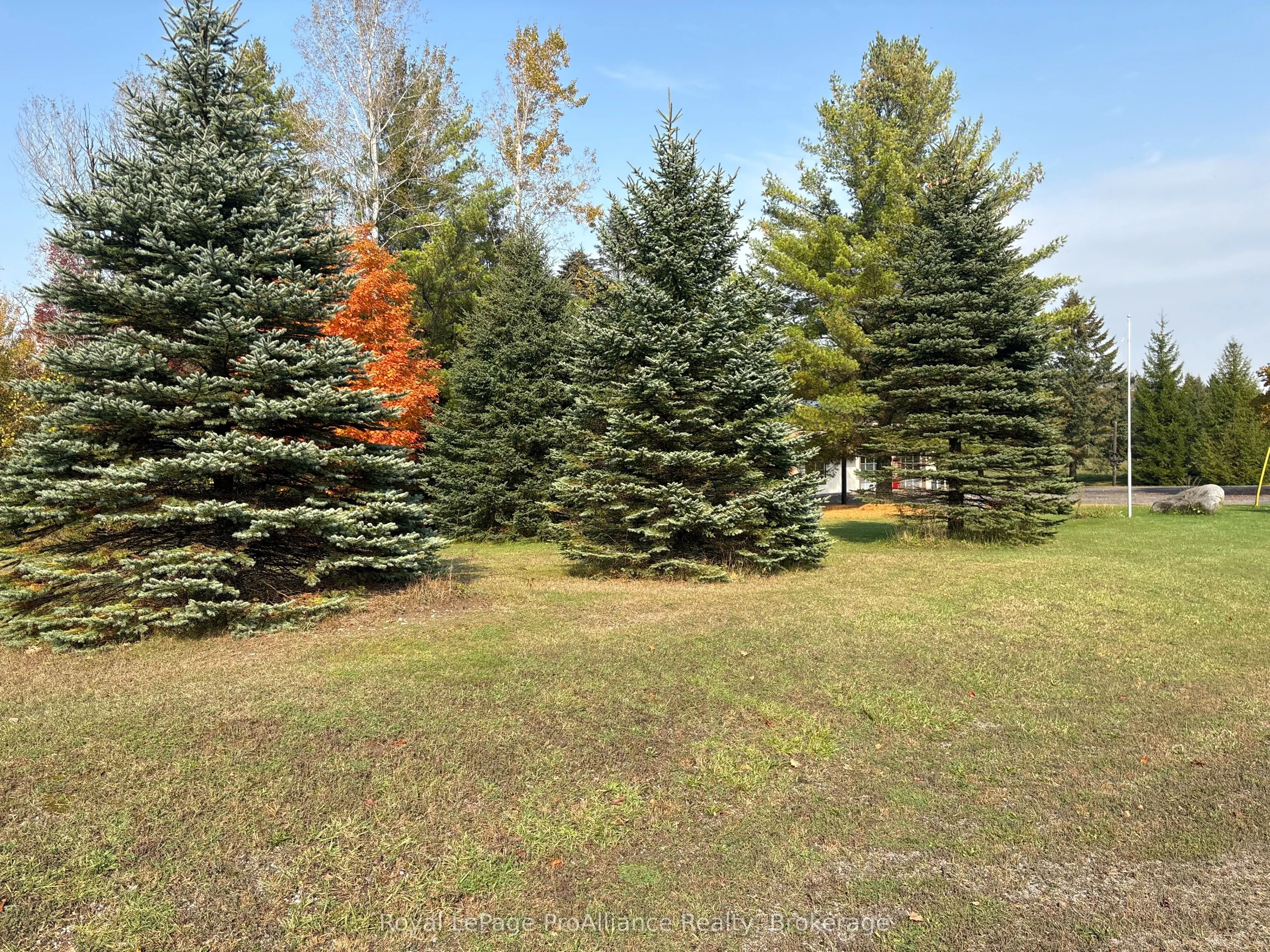 230 County Road 22