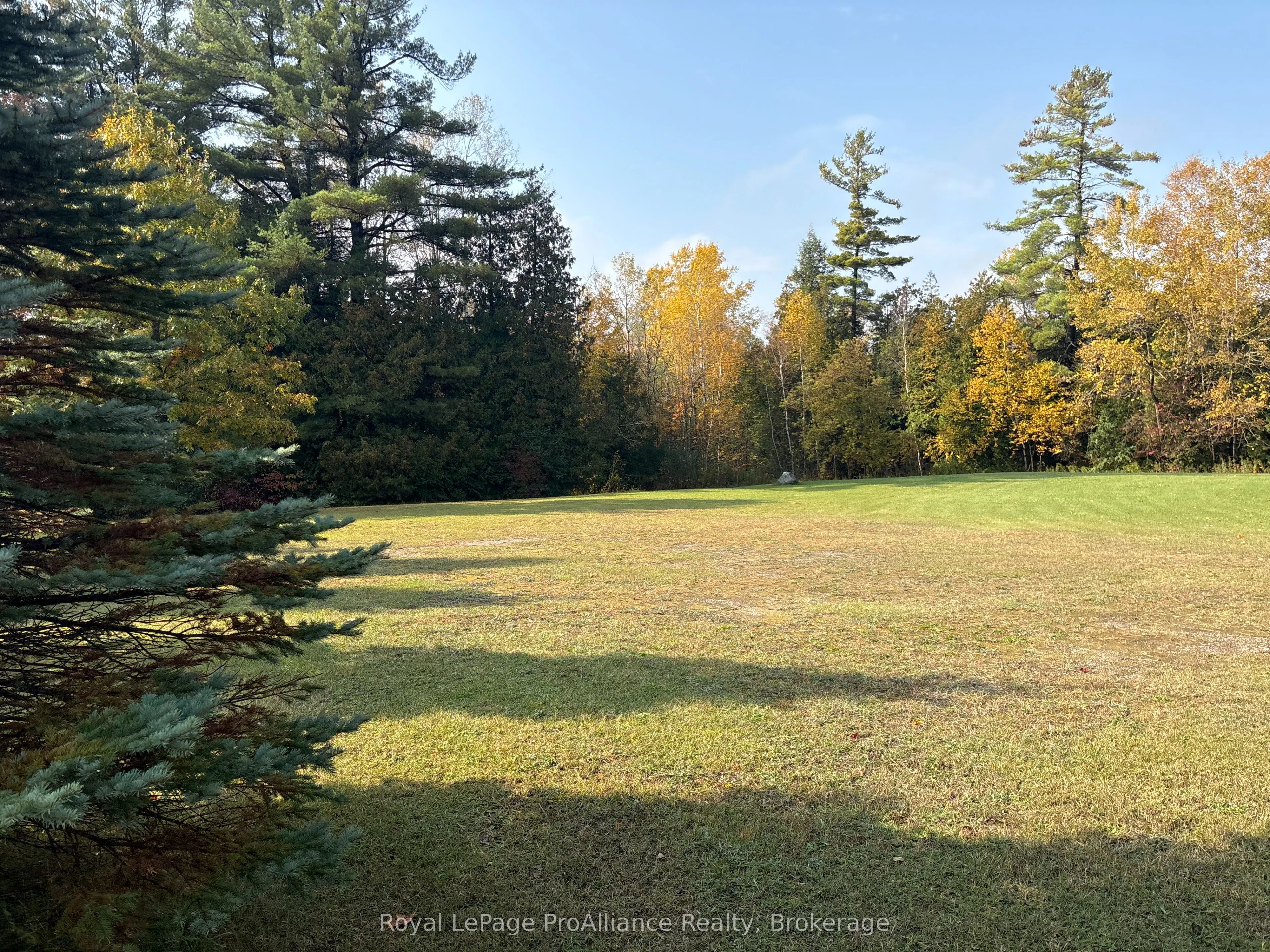 230 County Road 22