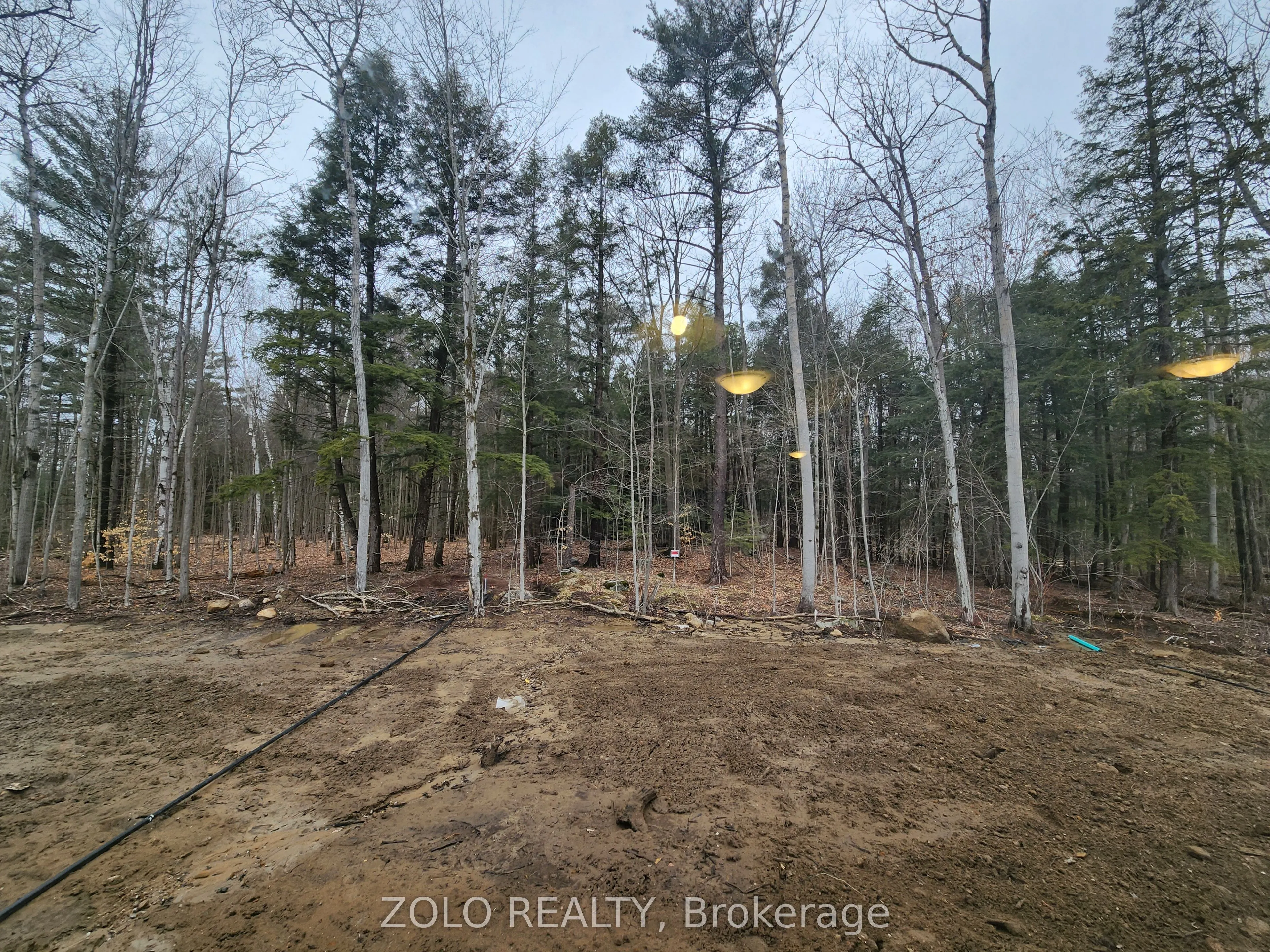 455 Beechwood Forest Lane