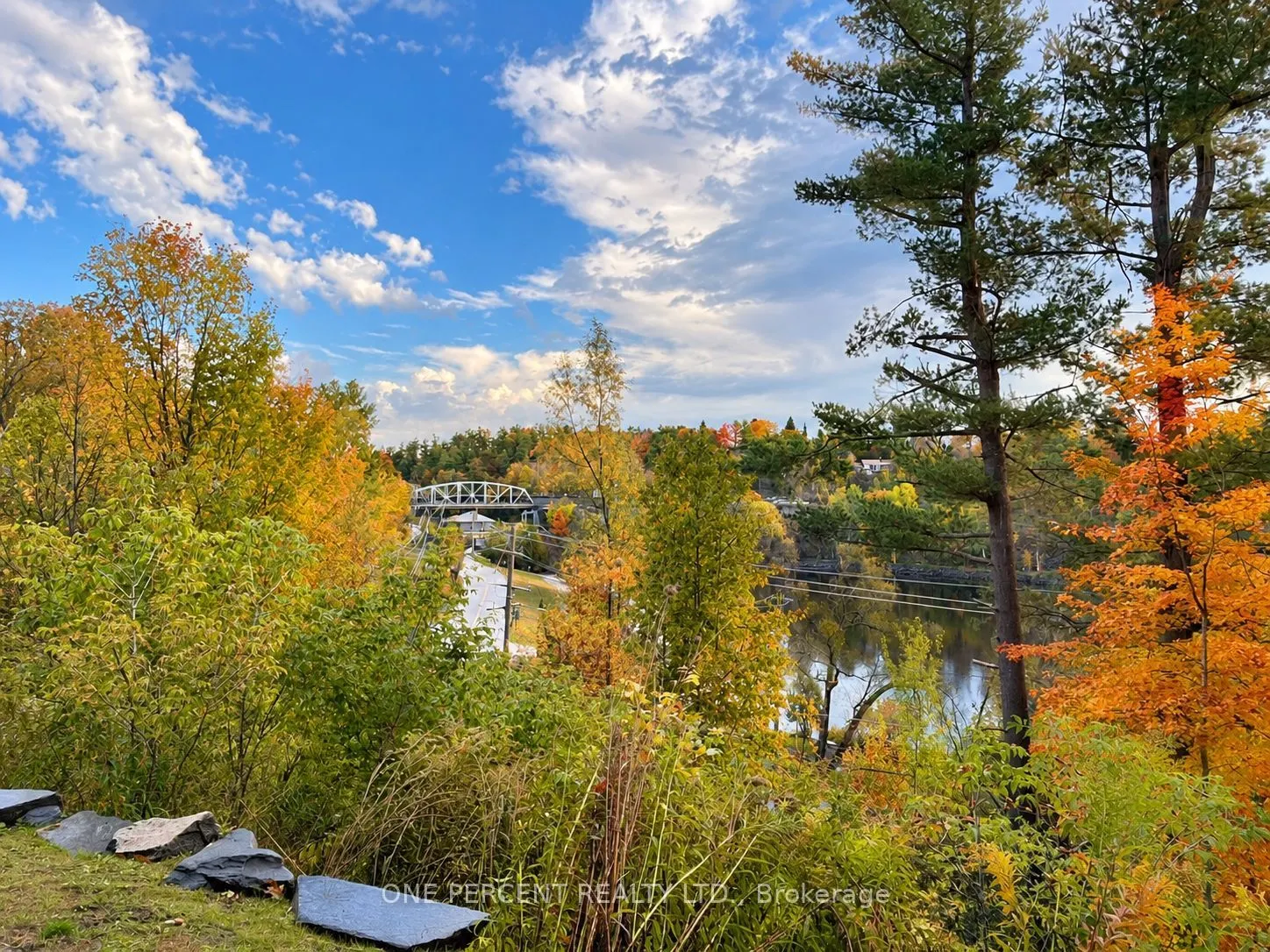 10 B Kimberley Avenue #113