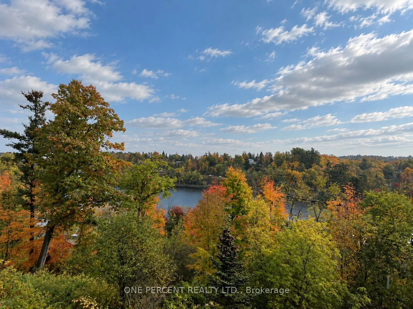 10 B Kimberley Avenue #113