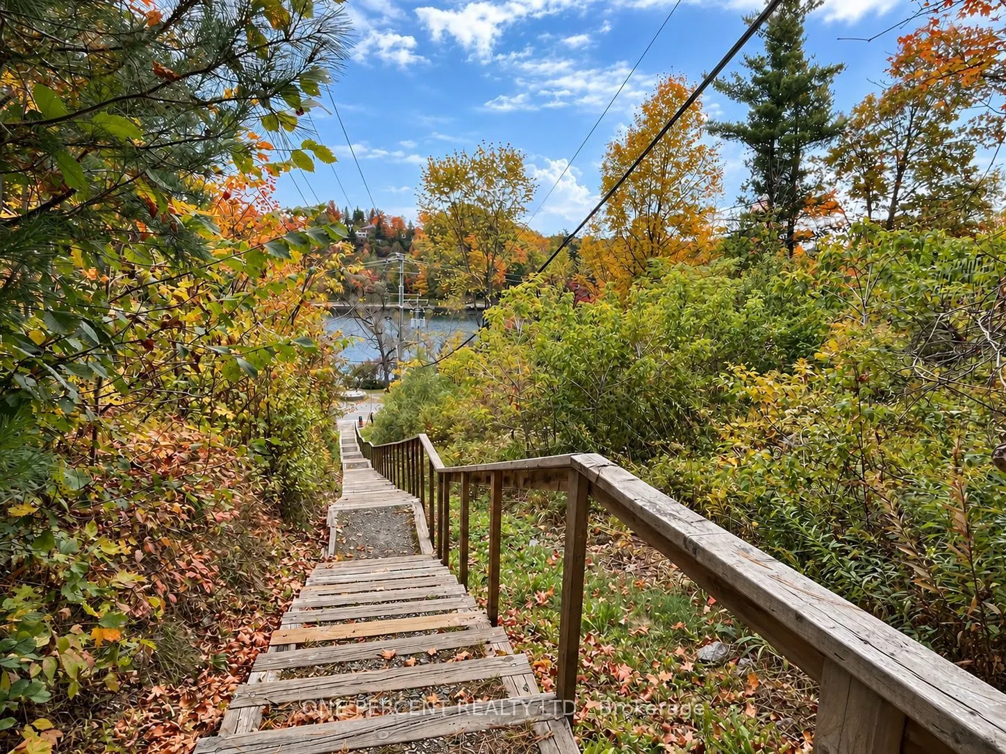 10 B Kimberley Avenue #113