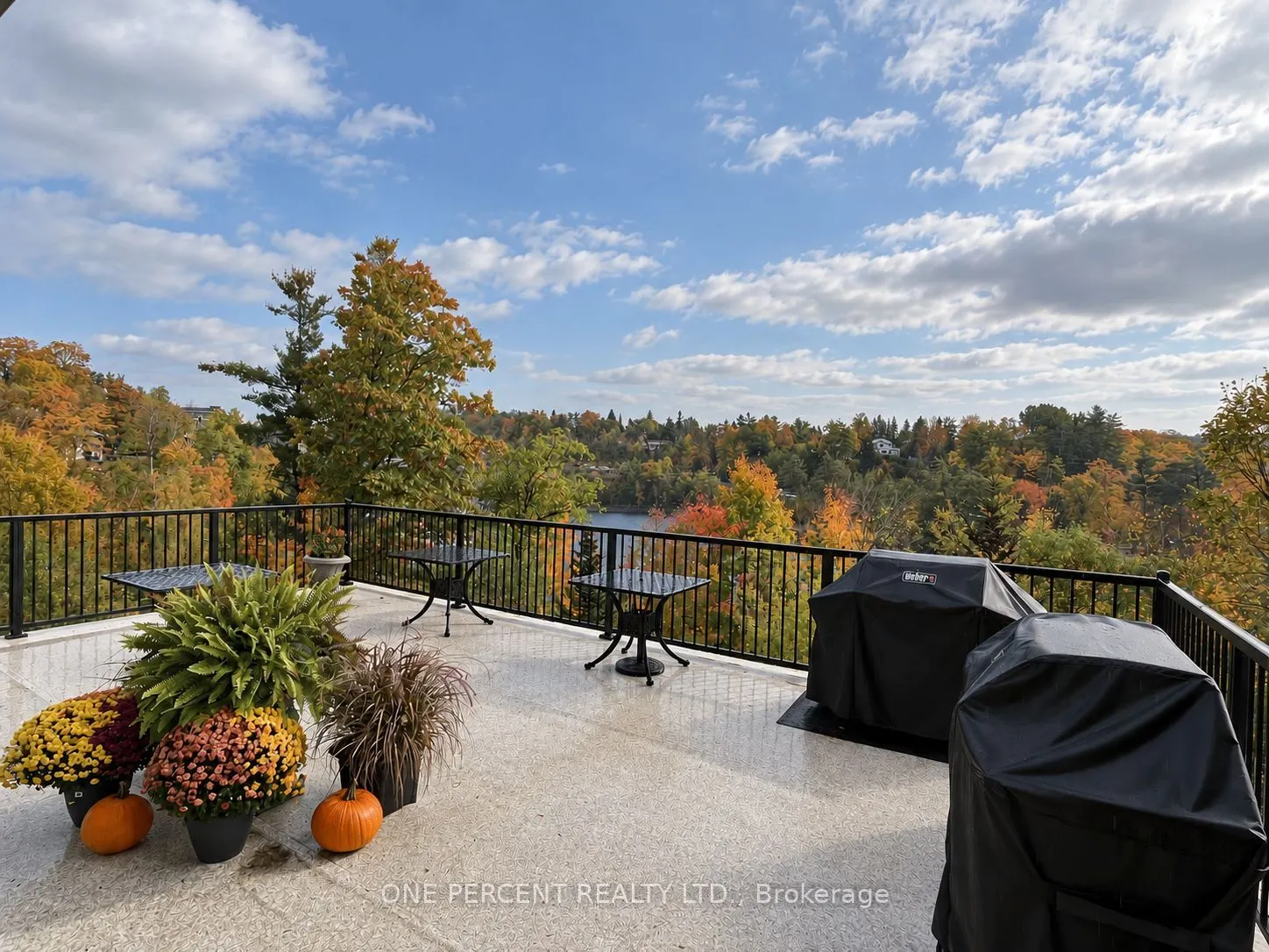 10 B Kimberley Avenue #113