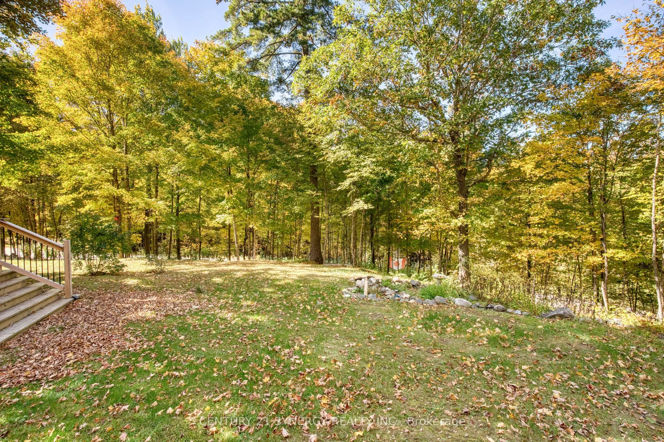 555 Sugarbush Way