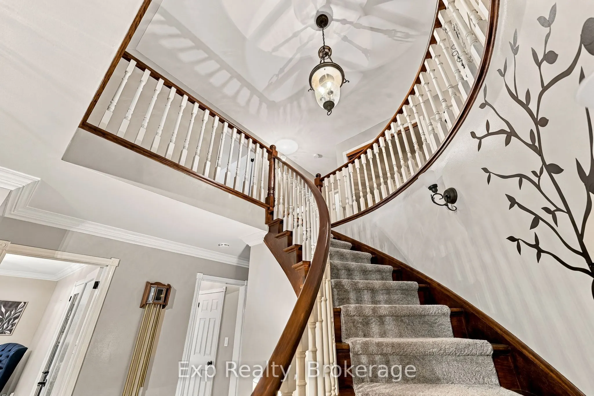 17 Forest Hill Drive