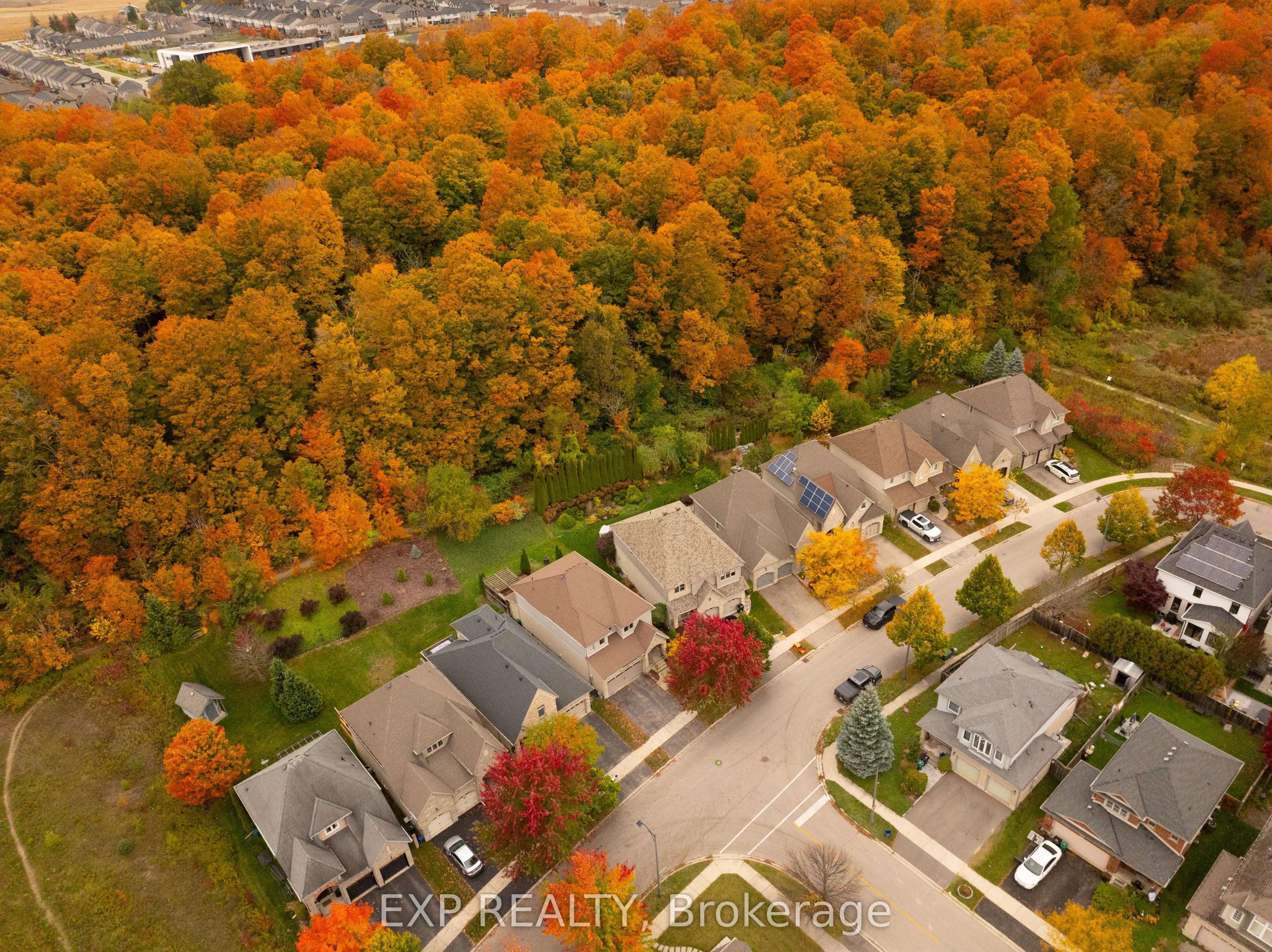 697 Rhine Fall Drive