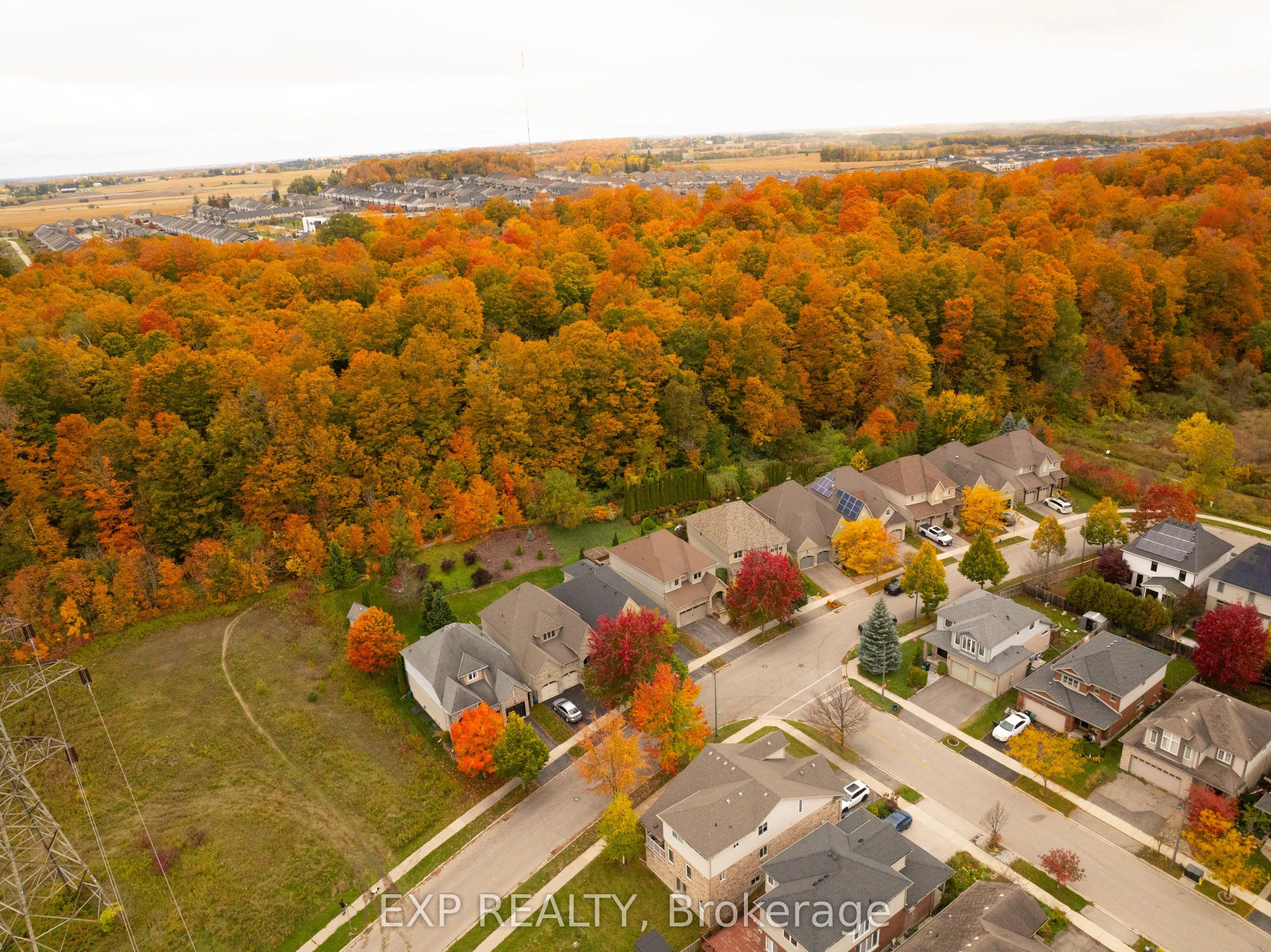 697 Rhine Fall Drive