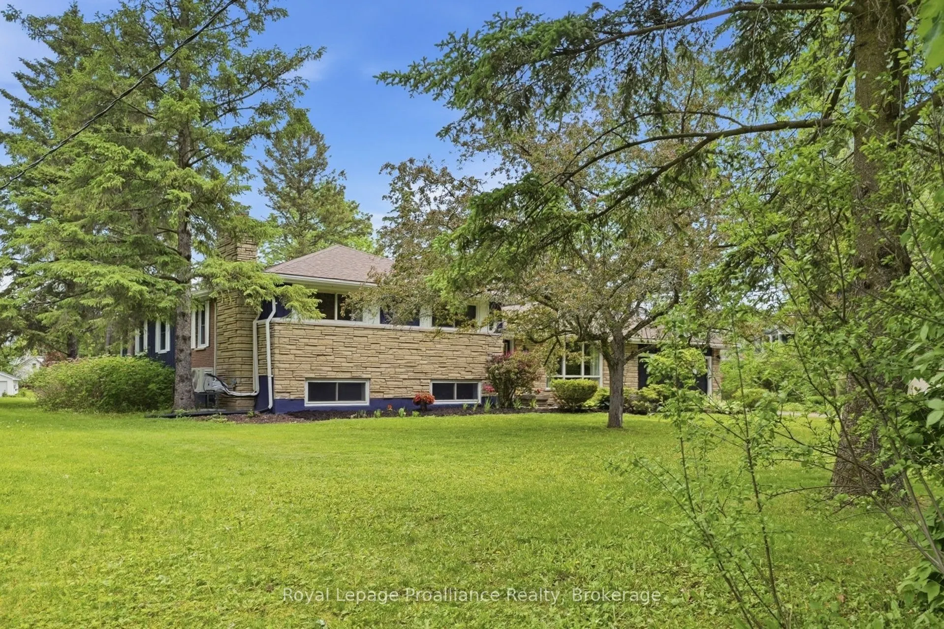51 Selena Avenue