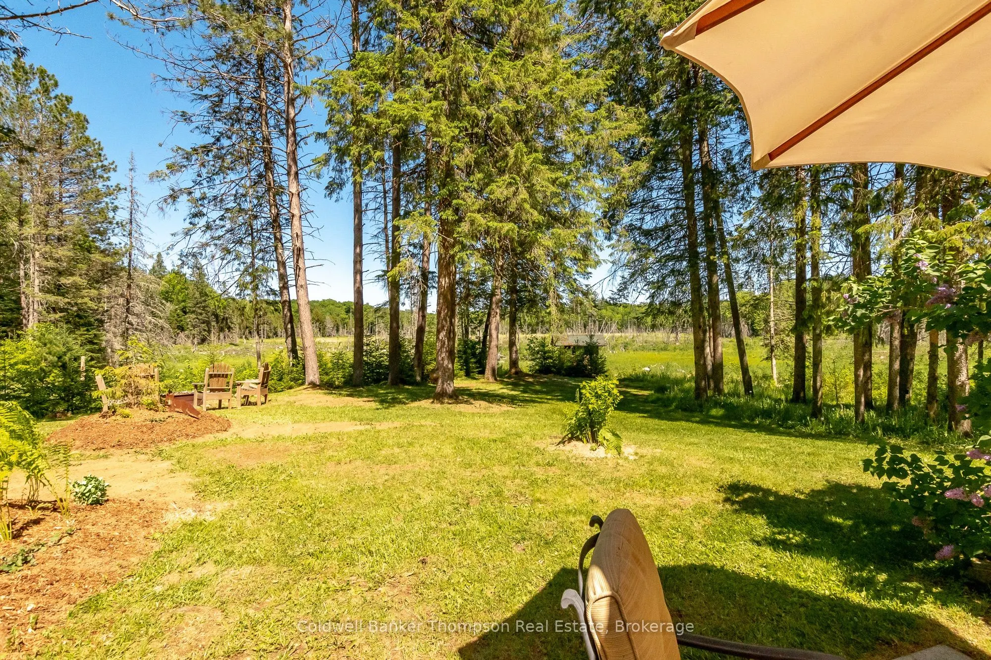 1095 Williamsport Road