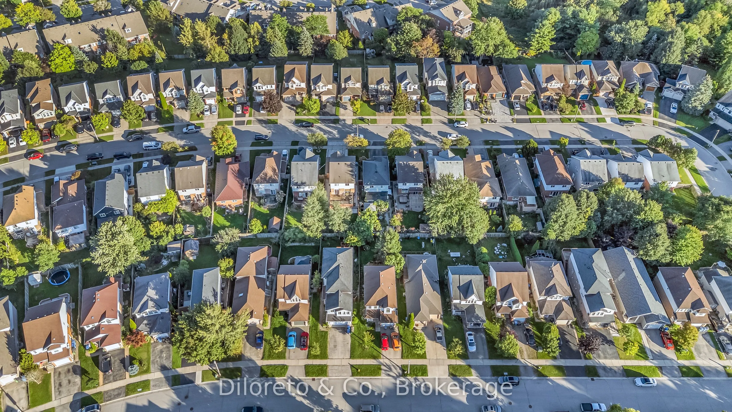 80 Southcreek Trail