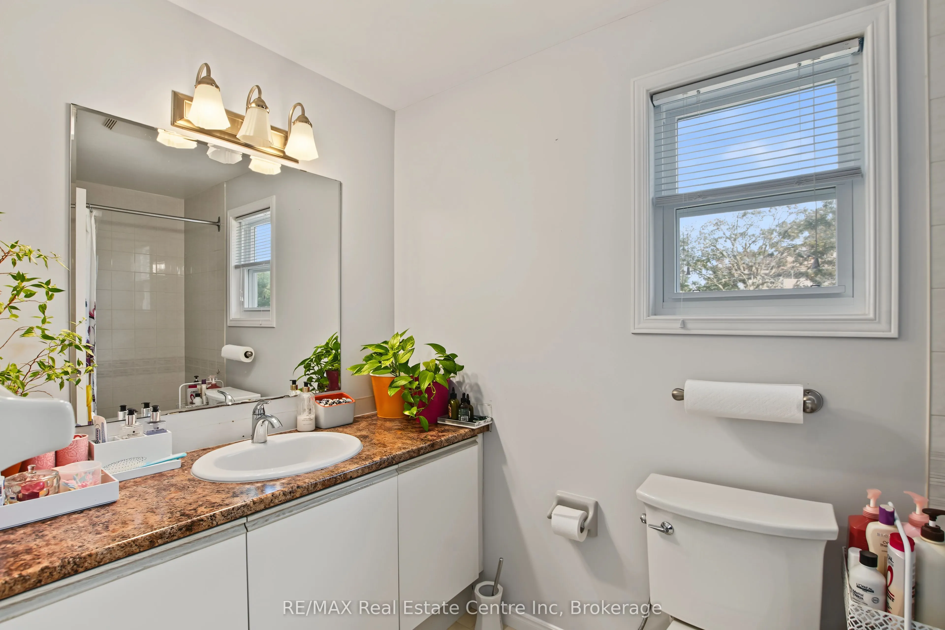 210 Elmira Road S