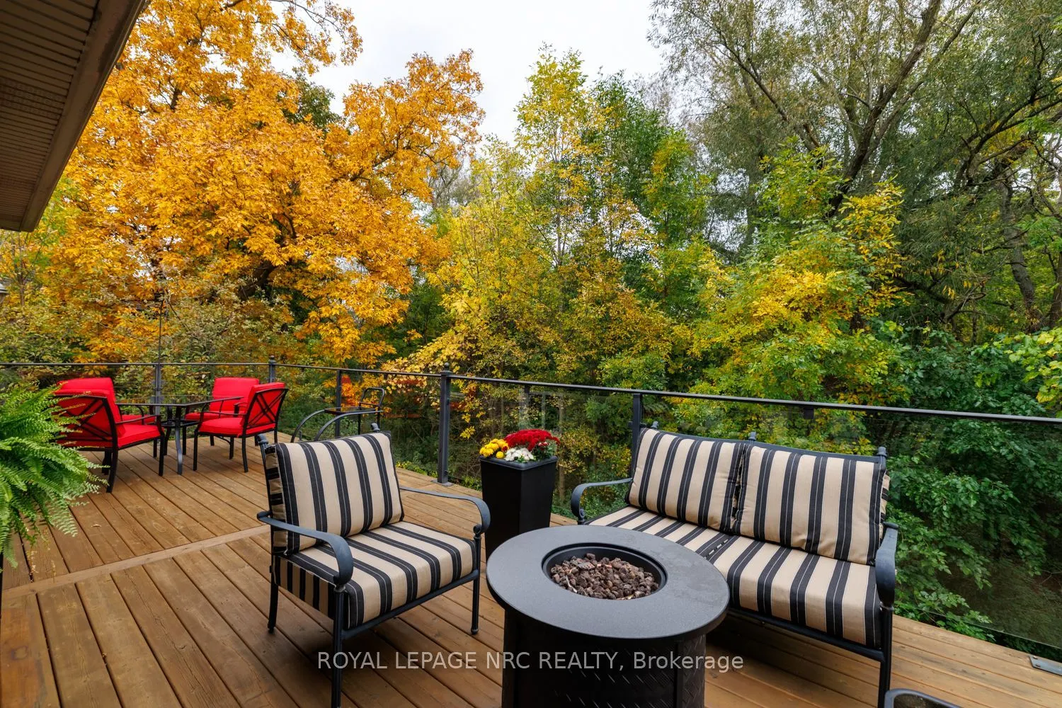 27 Parnell Road #4