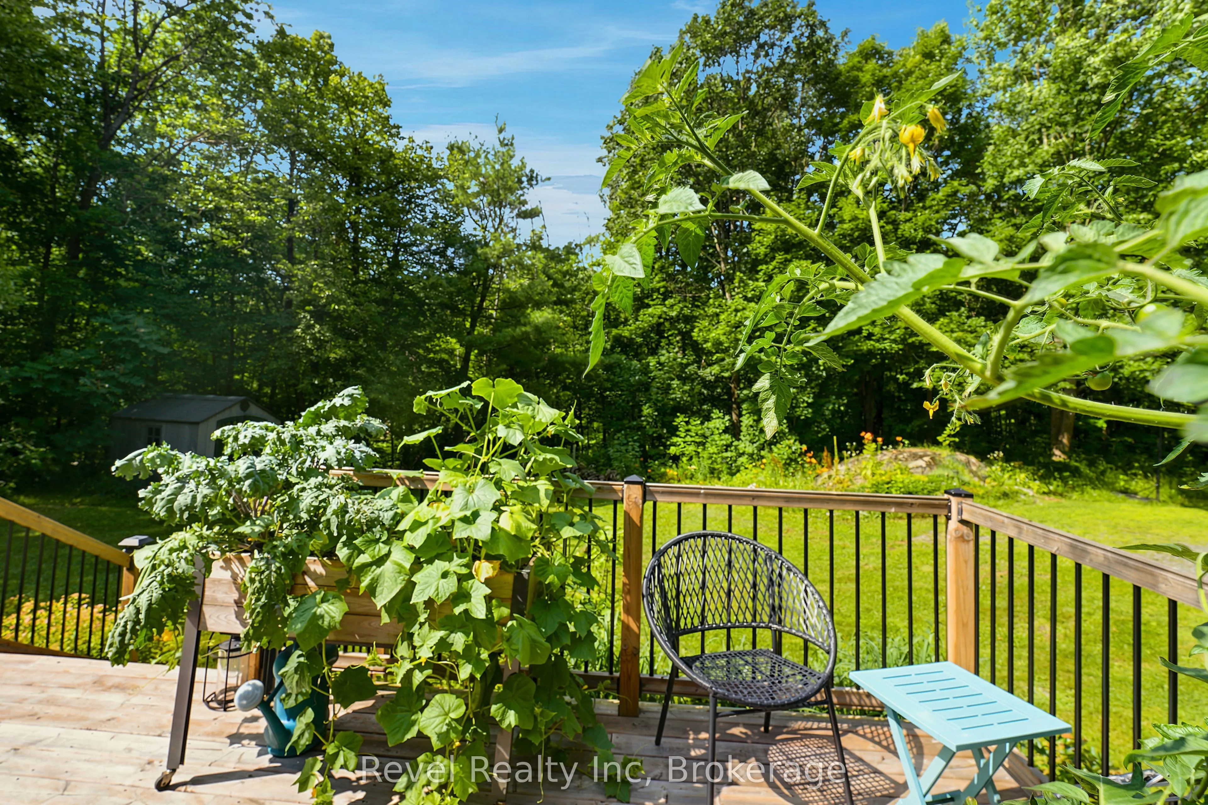 393 Rankin Lake Road