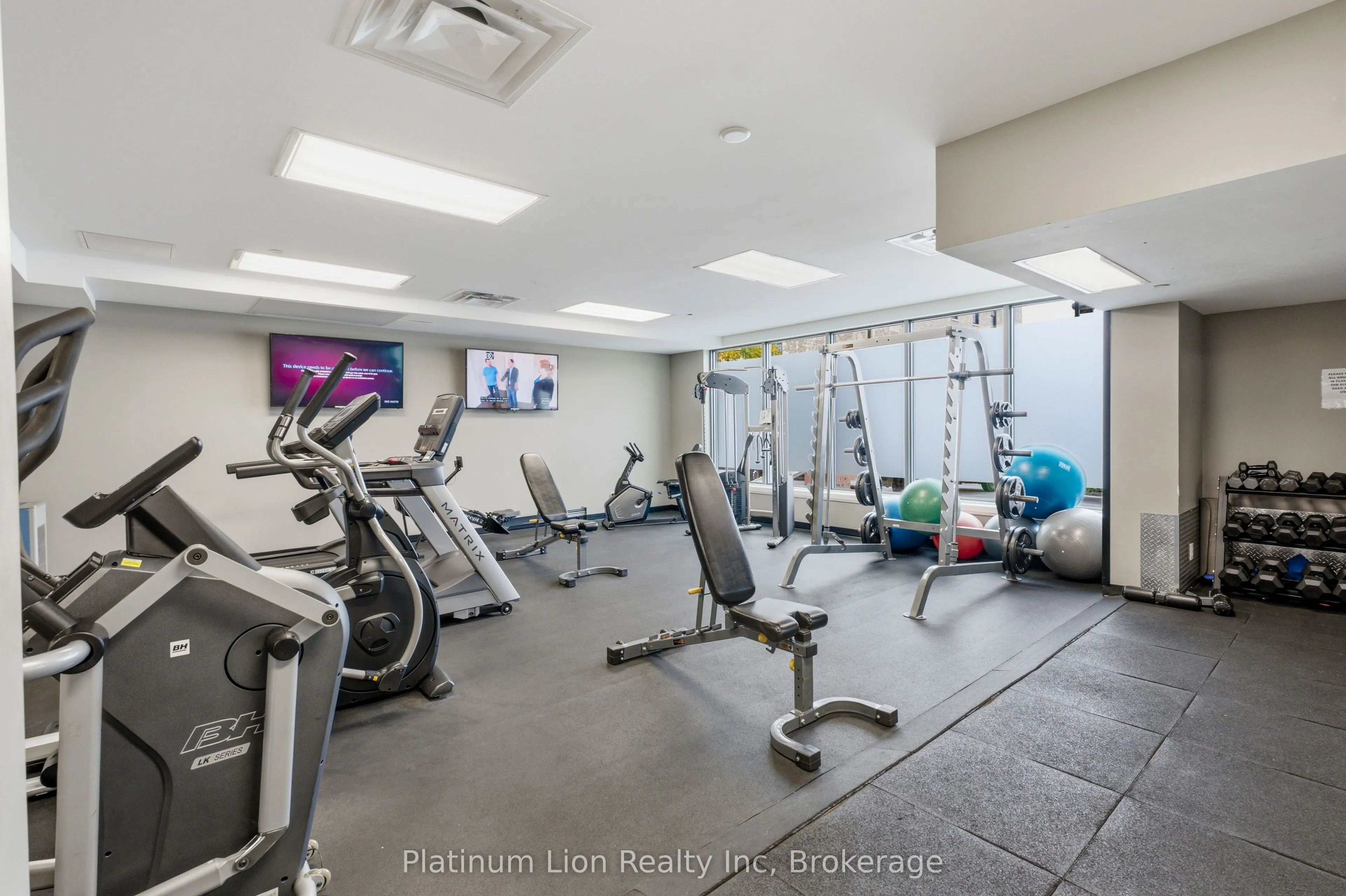 53 Arthur Street S #203