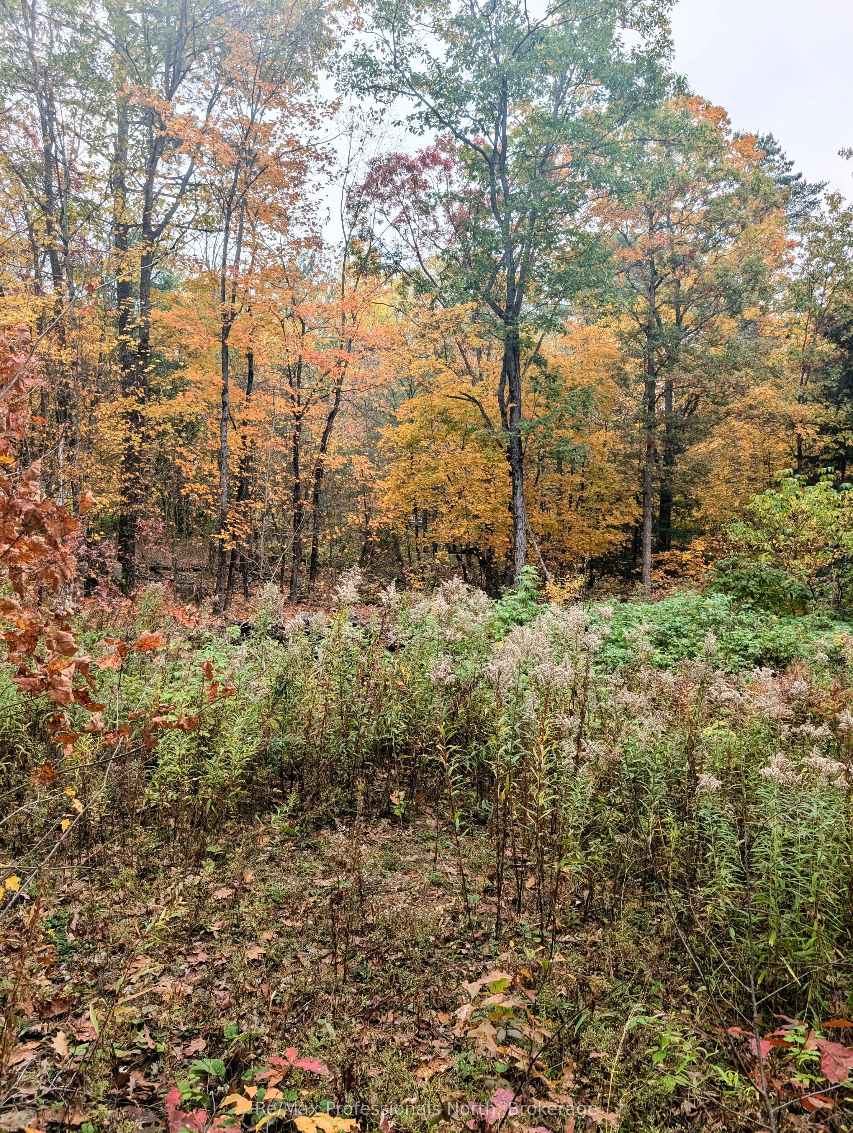 0 Ridge Road