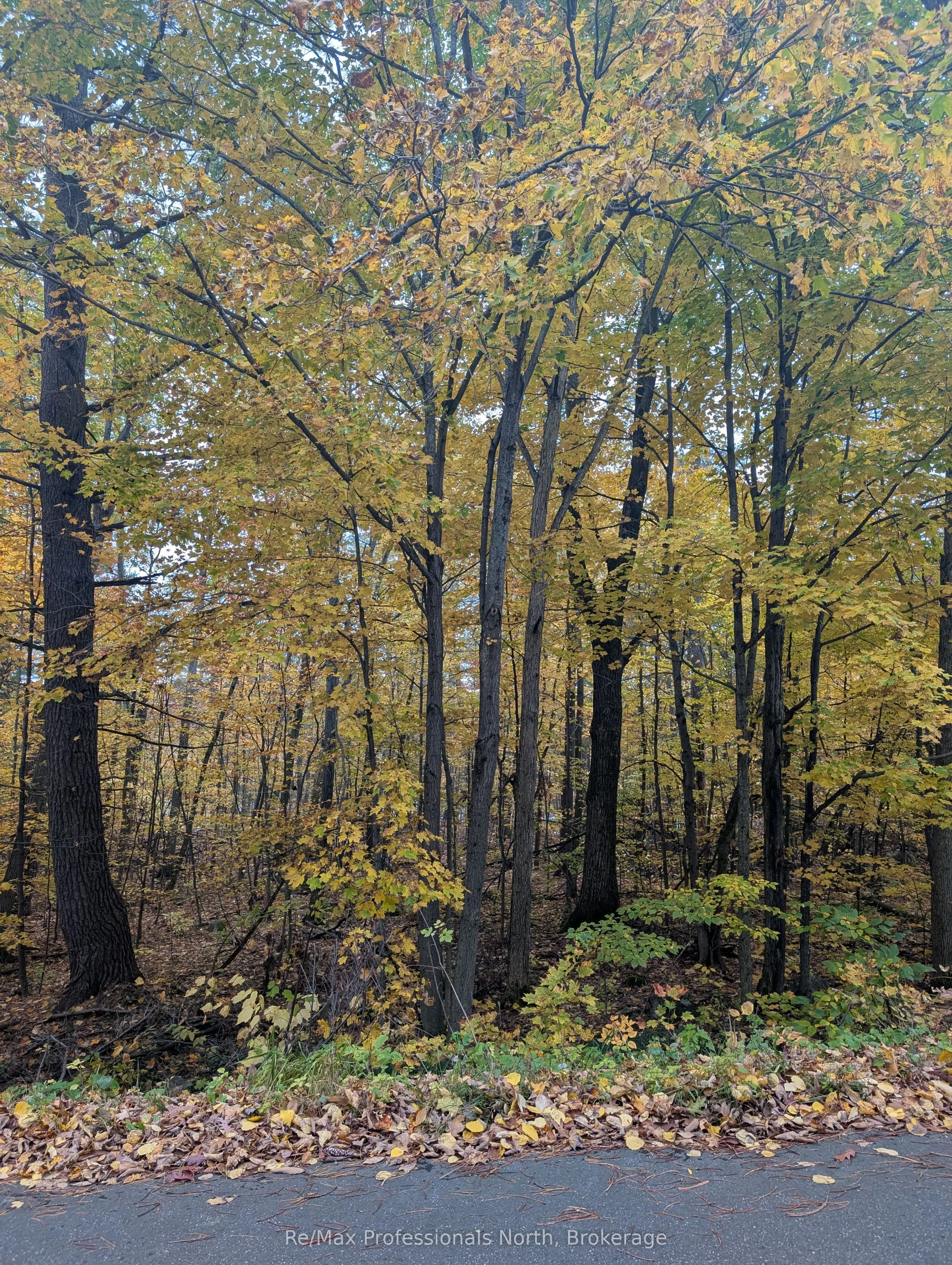 0 Ridge Road