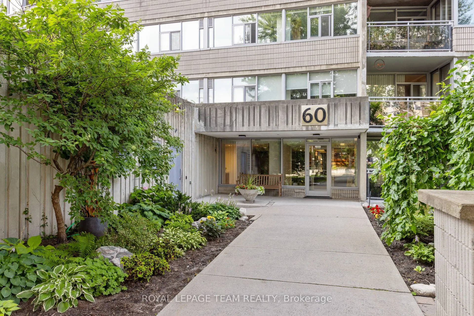 60 McLeod Street #103