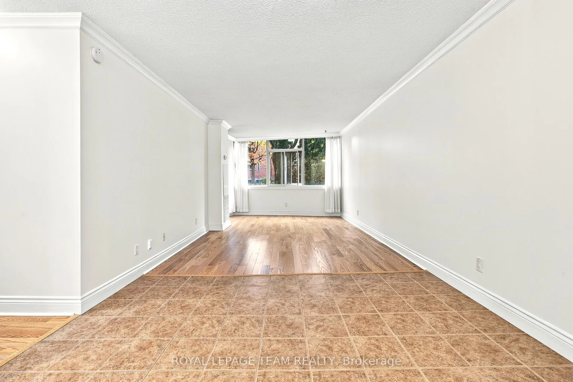 60 McLeod Street #103
